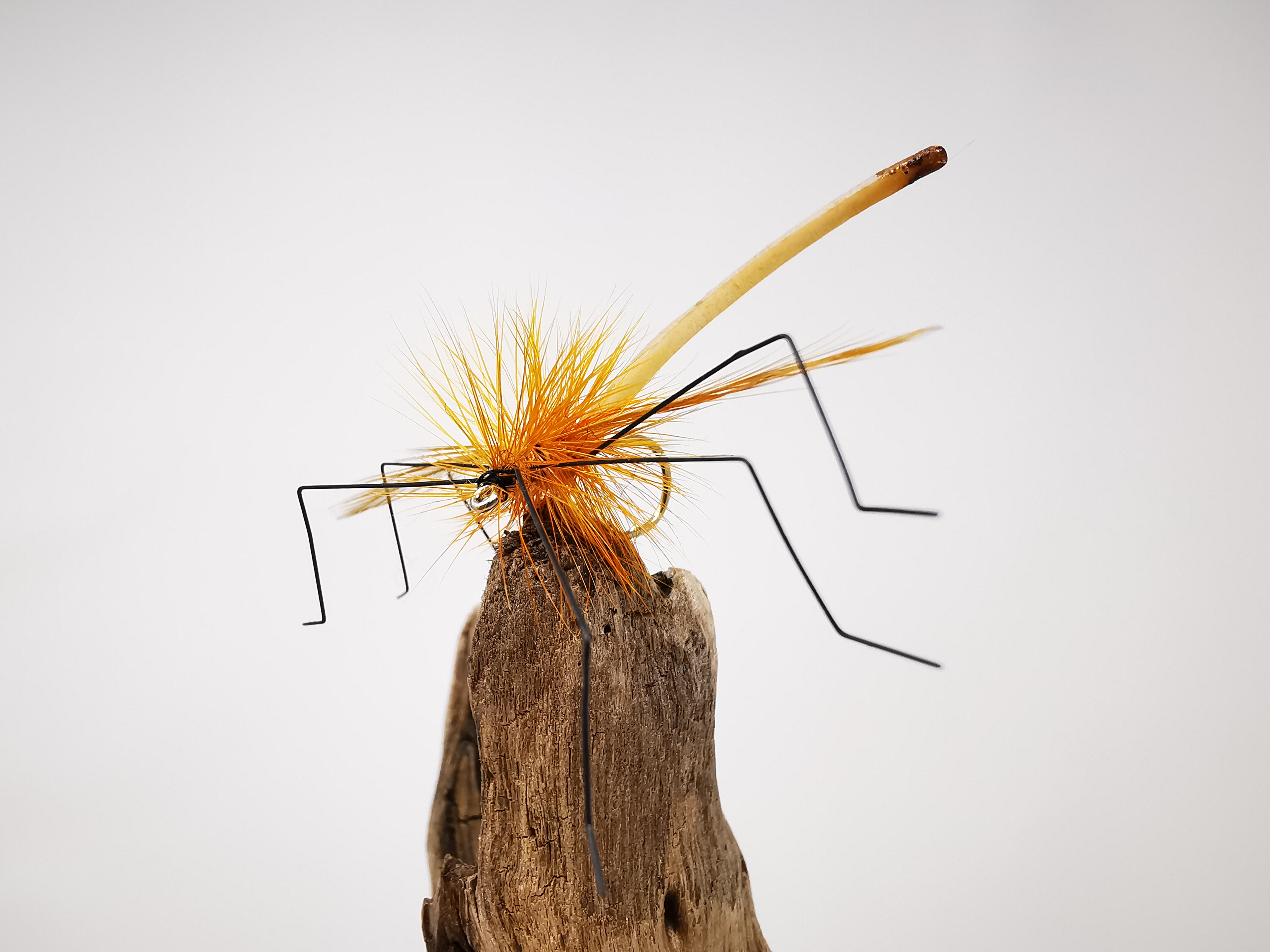 Mandys Daddy Longlegs