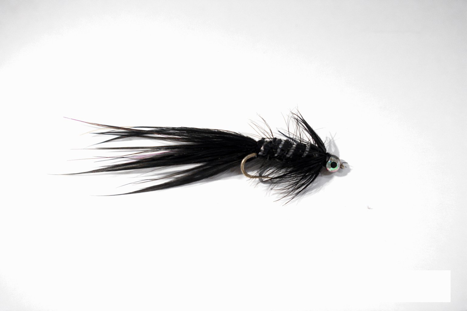 Palmered Eyed Dog Nobbler Black
