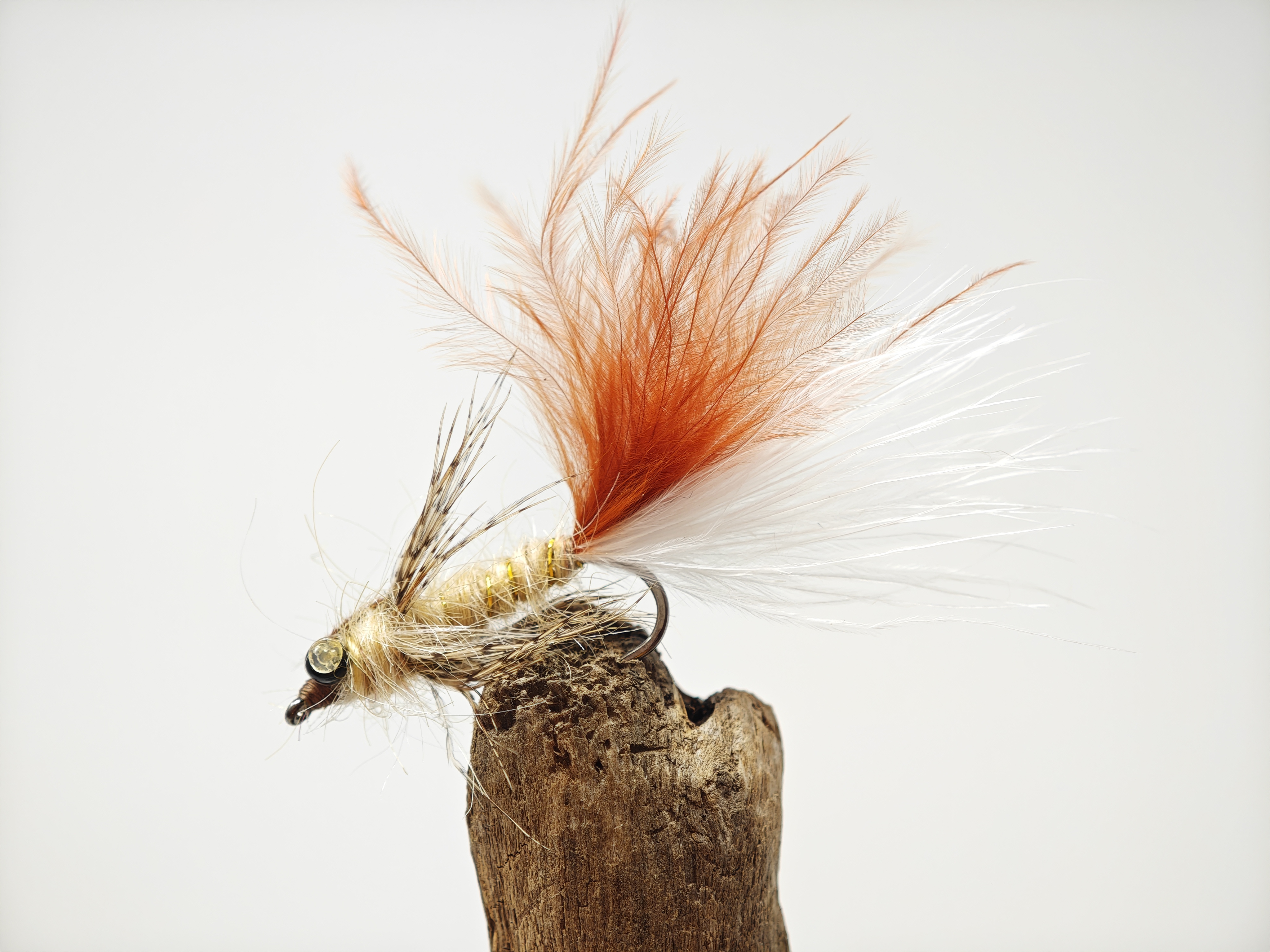 Leaded Eyed Marabuo Damsel Mayfly Nymph