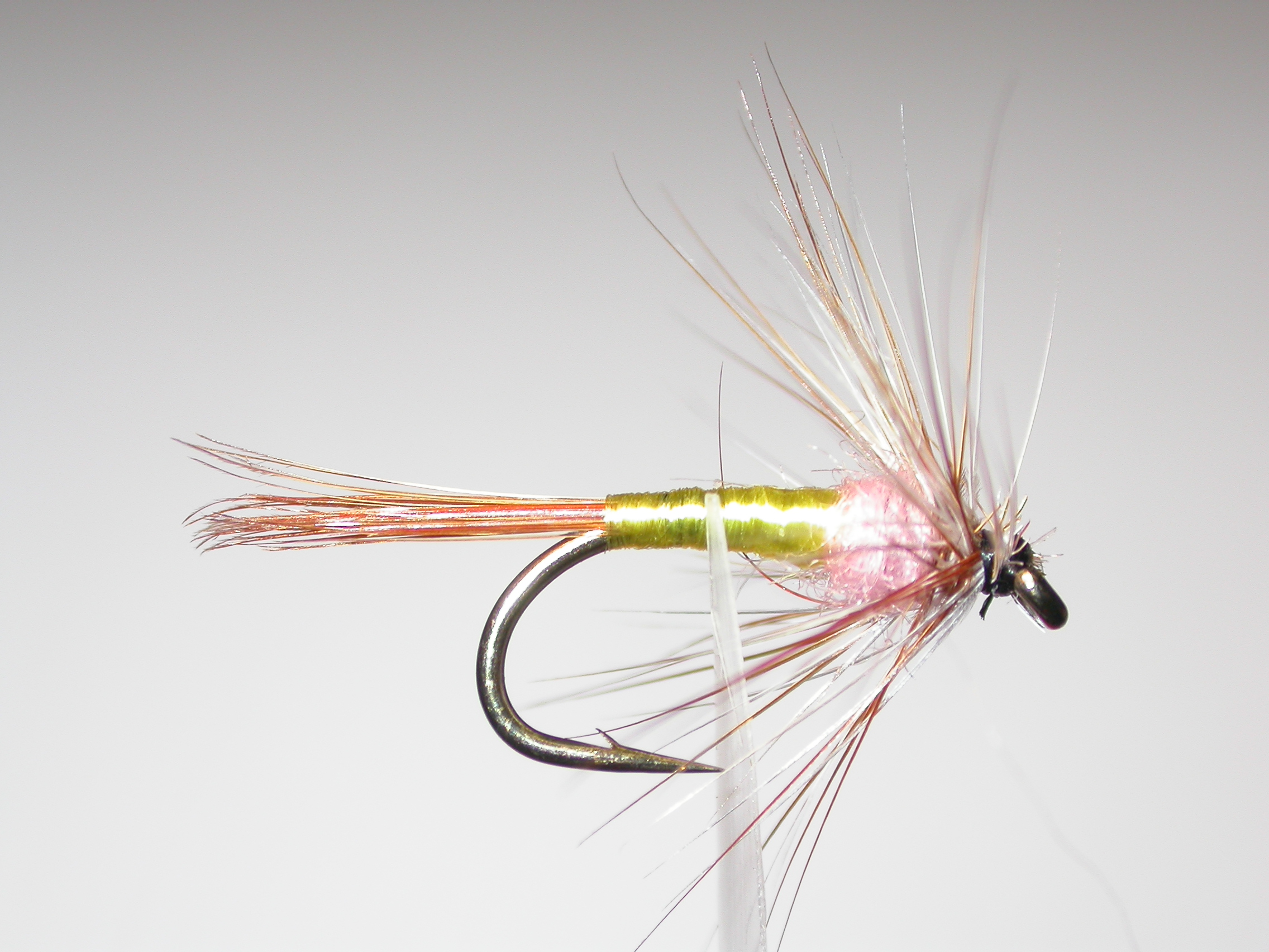 Tups Indispensible Spider