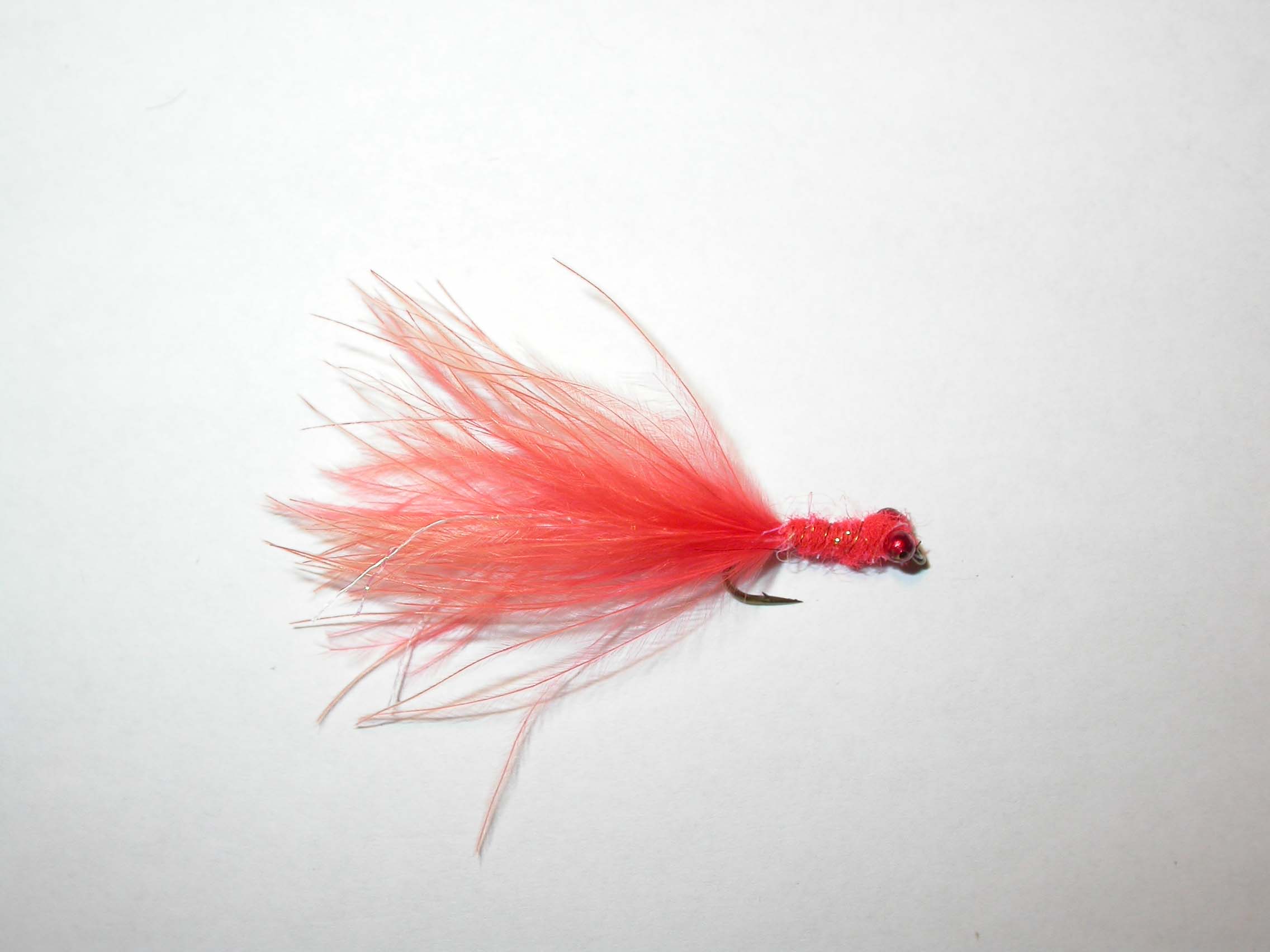 Little Devil Fire Orange