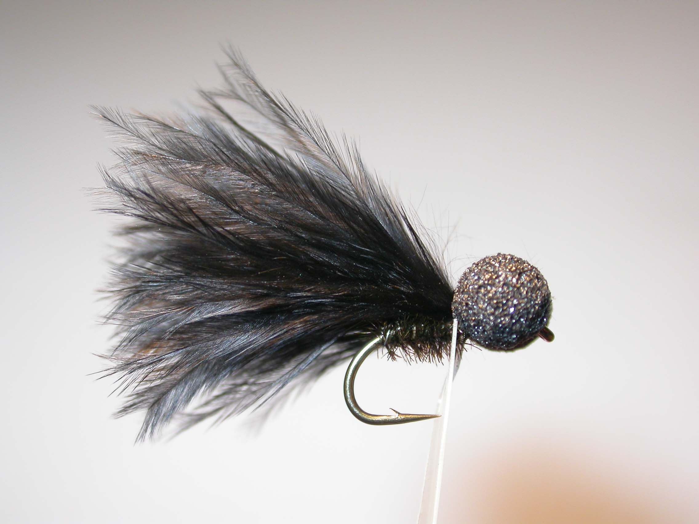 Cormorant Booby Single