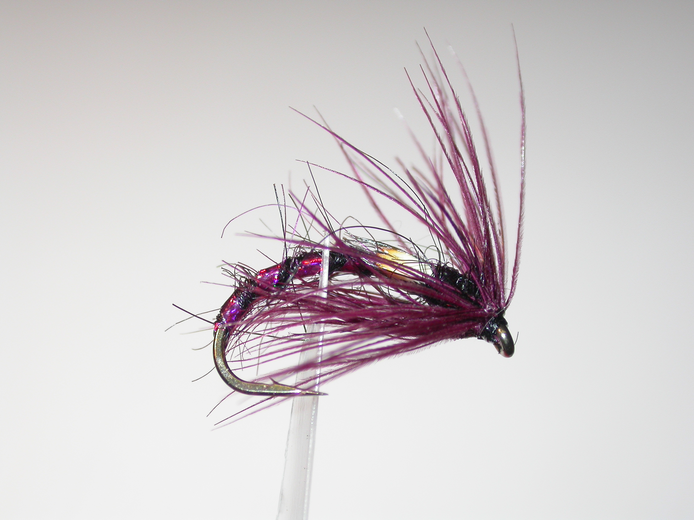 Black and Claret Buzzer JC