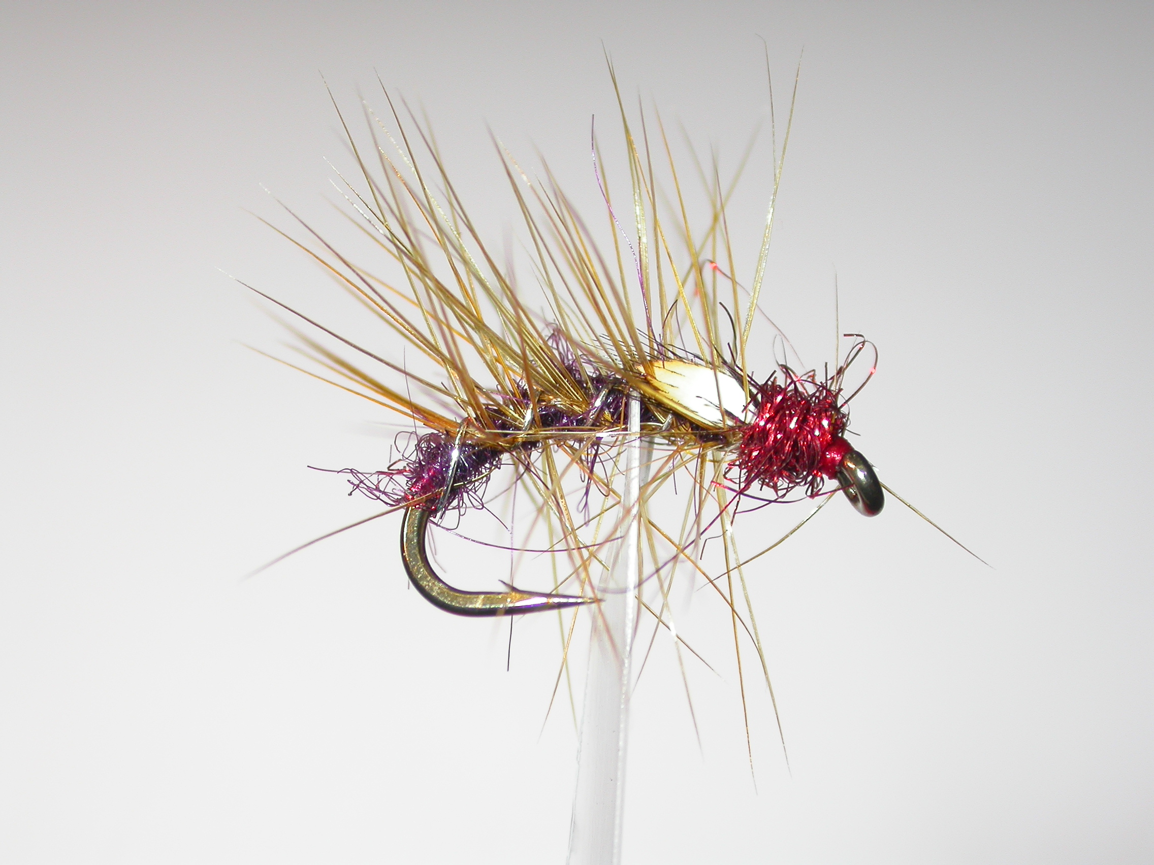 Claret Holo Snatcher JC