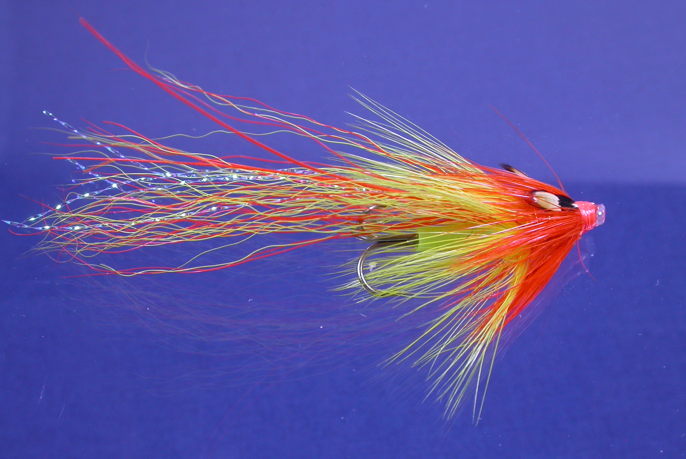 Pot Belly Pig Hornet JC