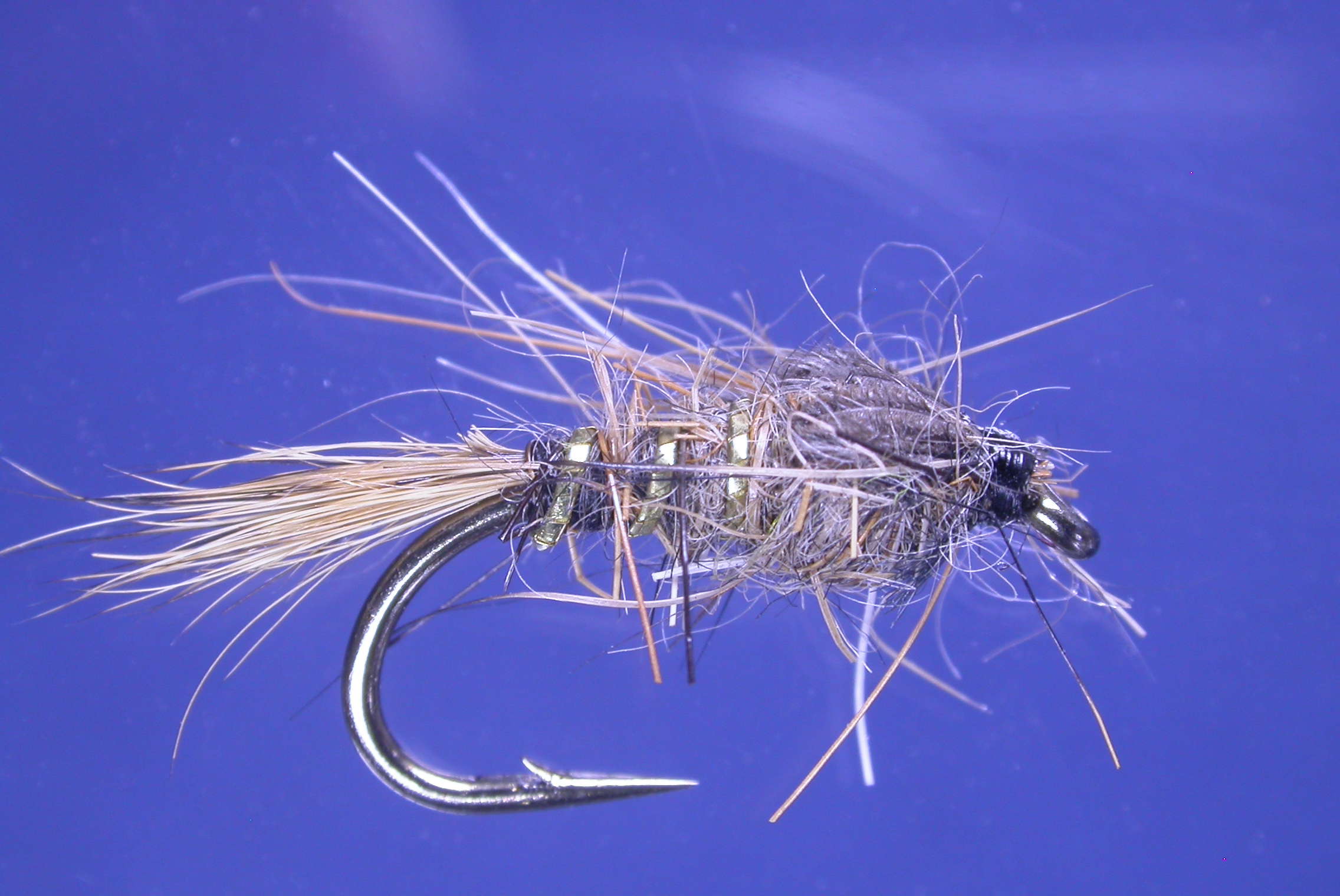 Gold Ribbed Hares Ear 