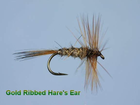 Gold Ribbed Hares Ear Hackled
