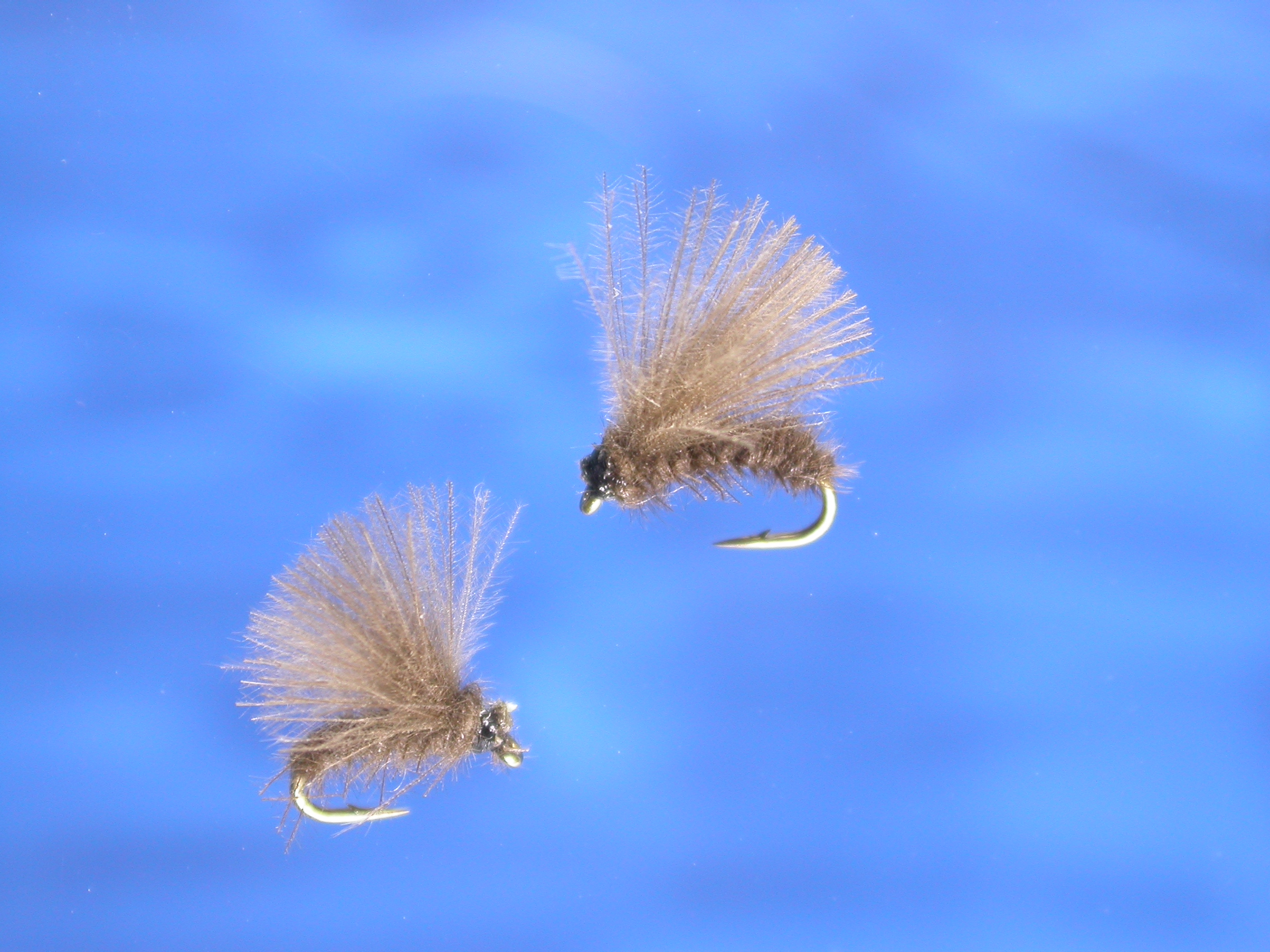 Cream La Petite Merde Fly Fishing Flies with Fish4Flies UK