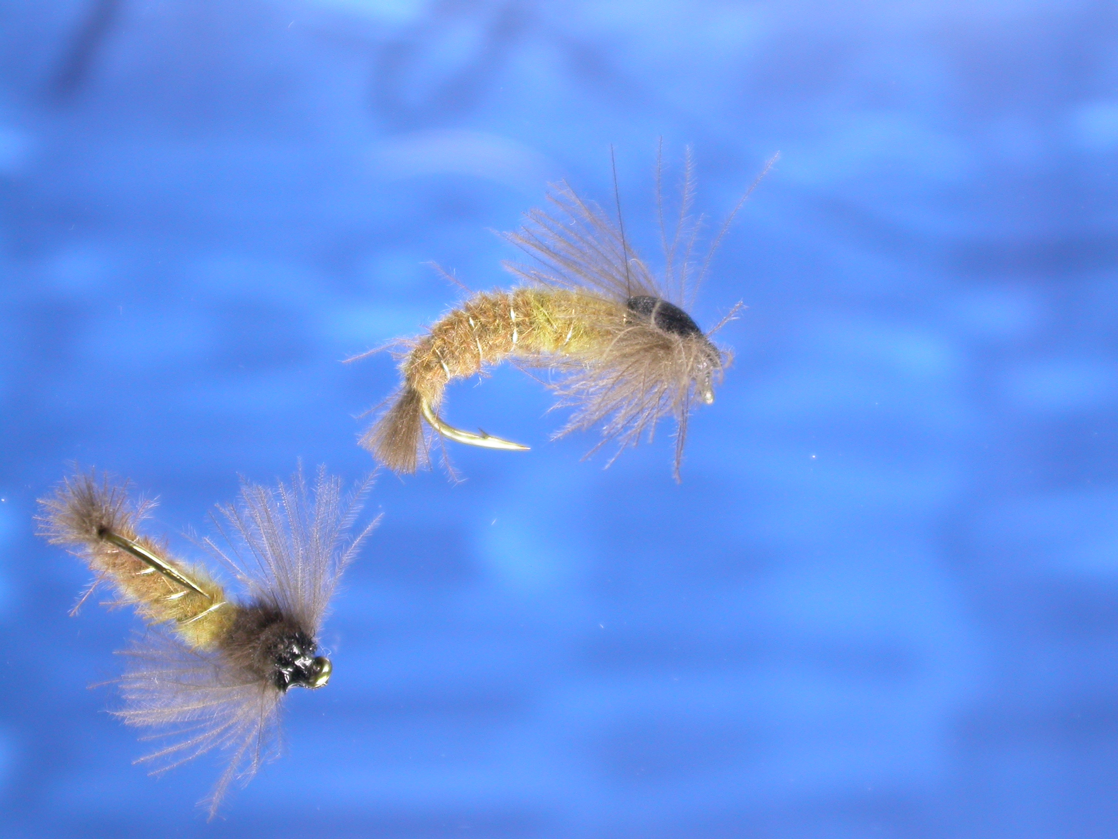 Caddis CDC Larva