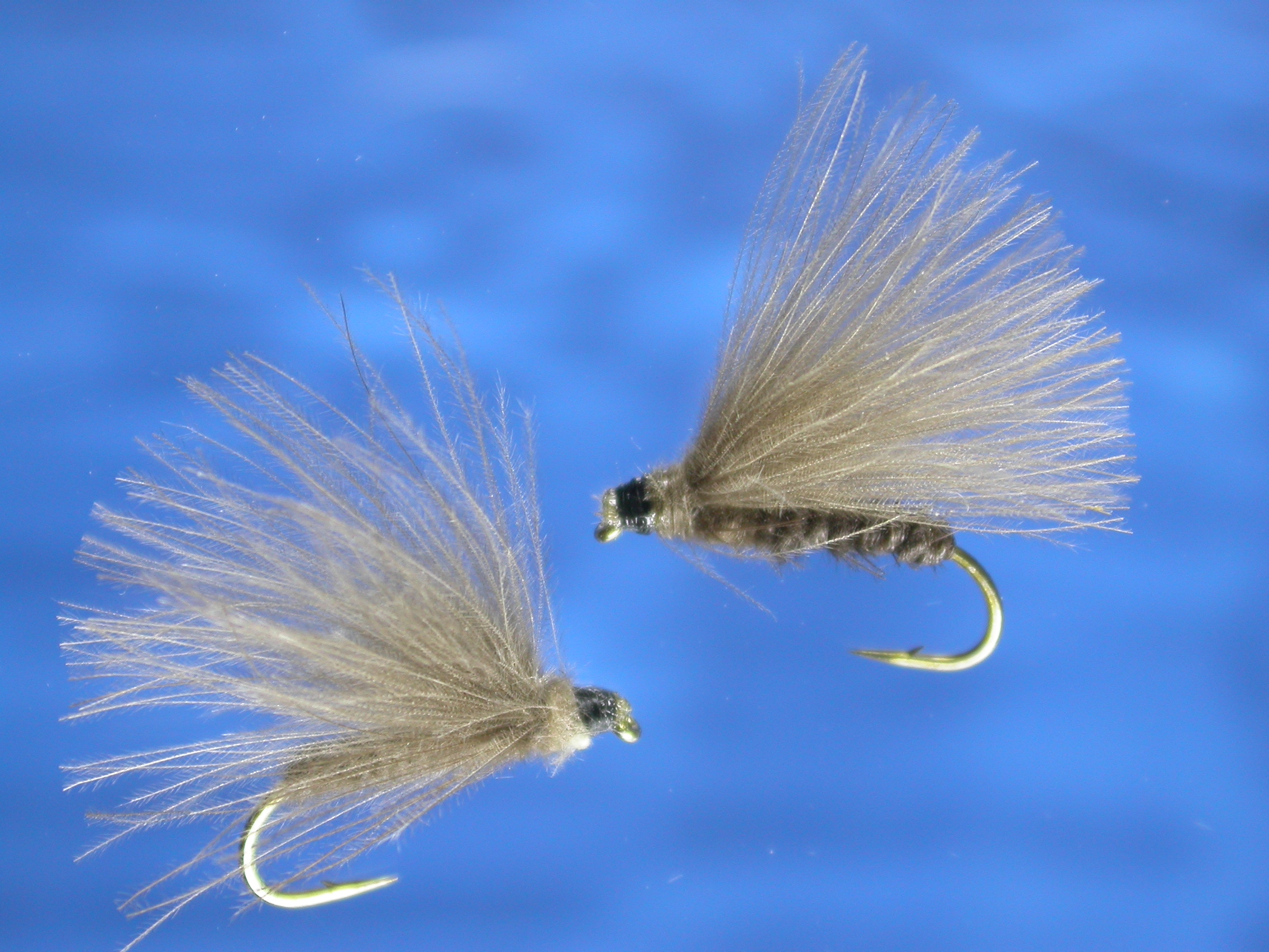 Light Grey CDC Caddis Fly