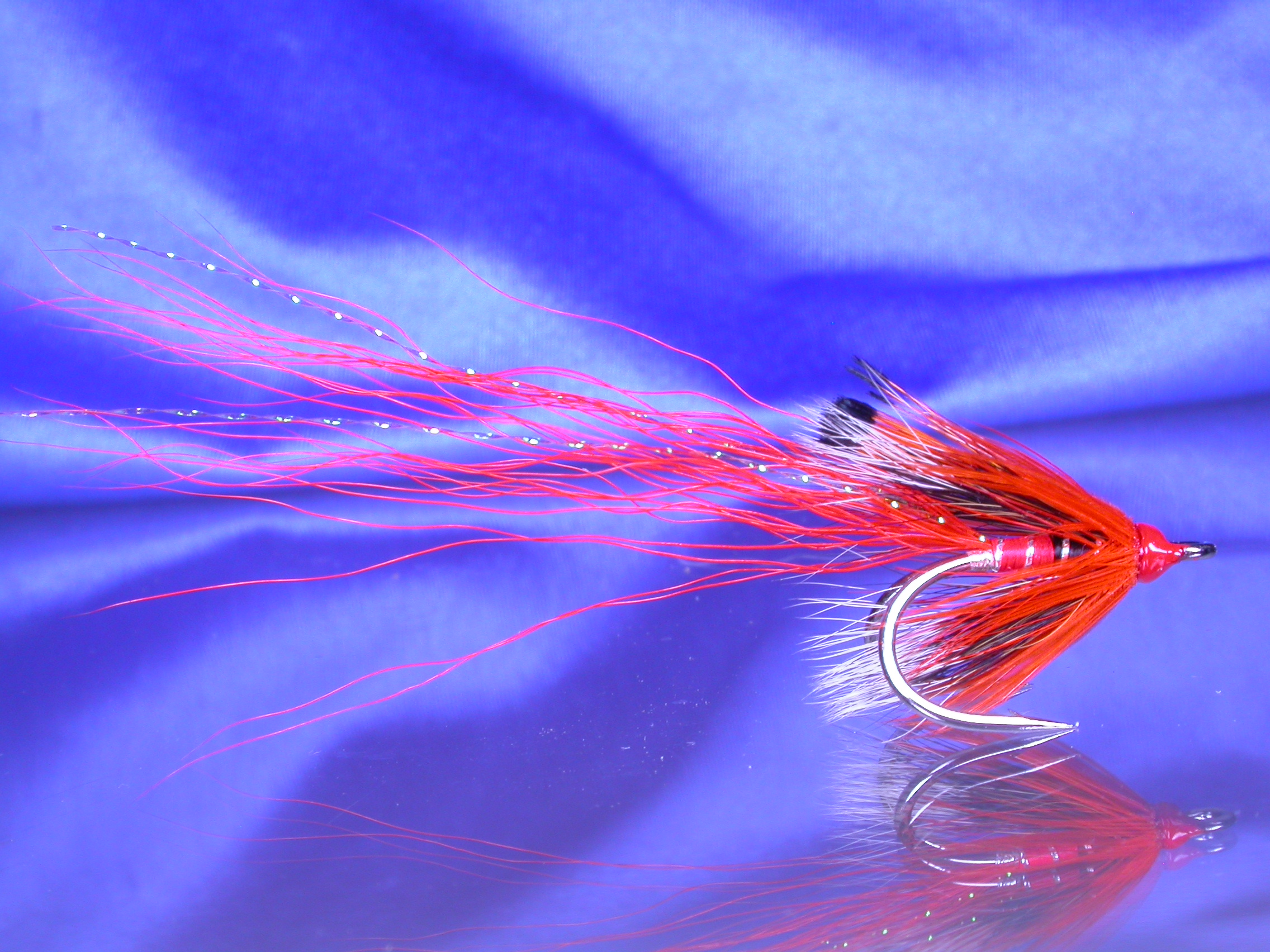 Hot Allys BMD Shrimp