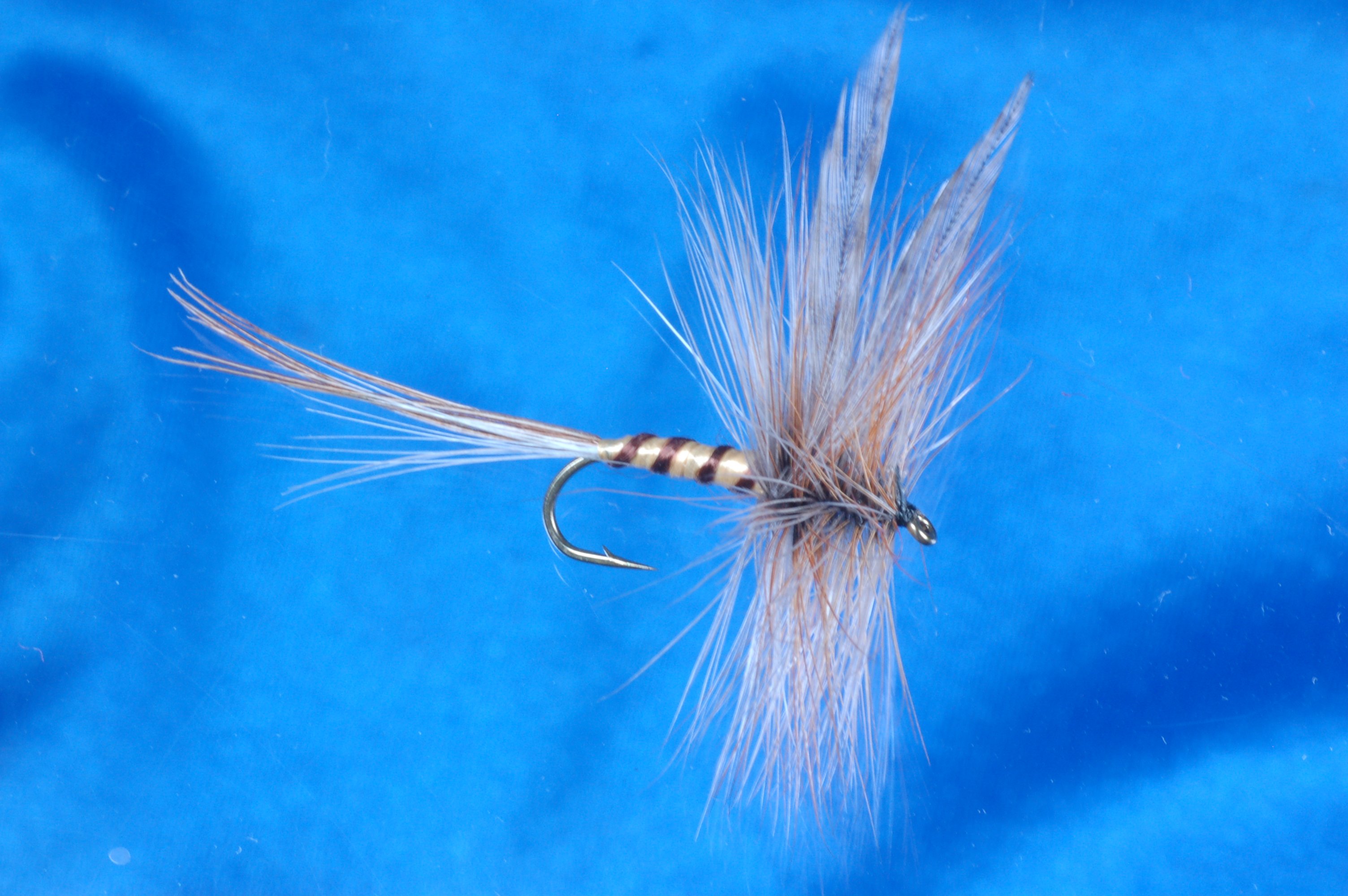 Blue Dun Mayfly
