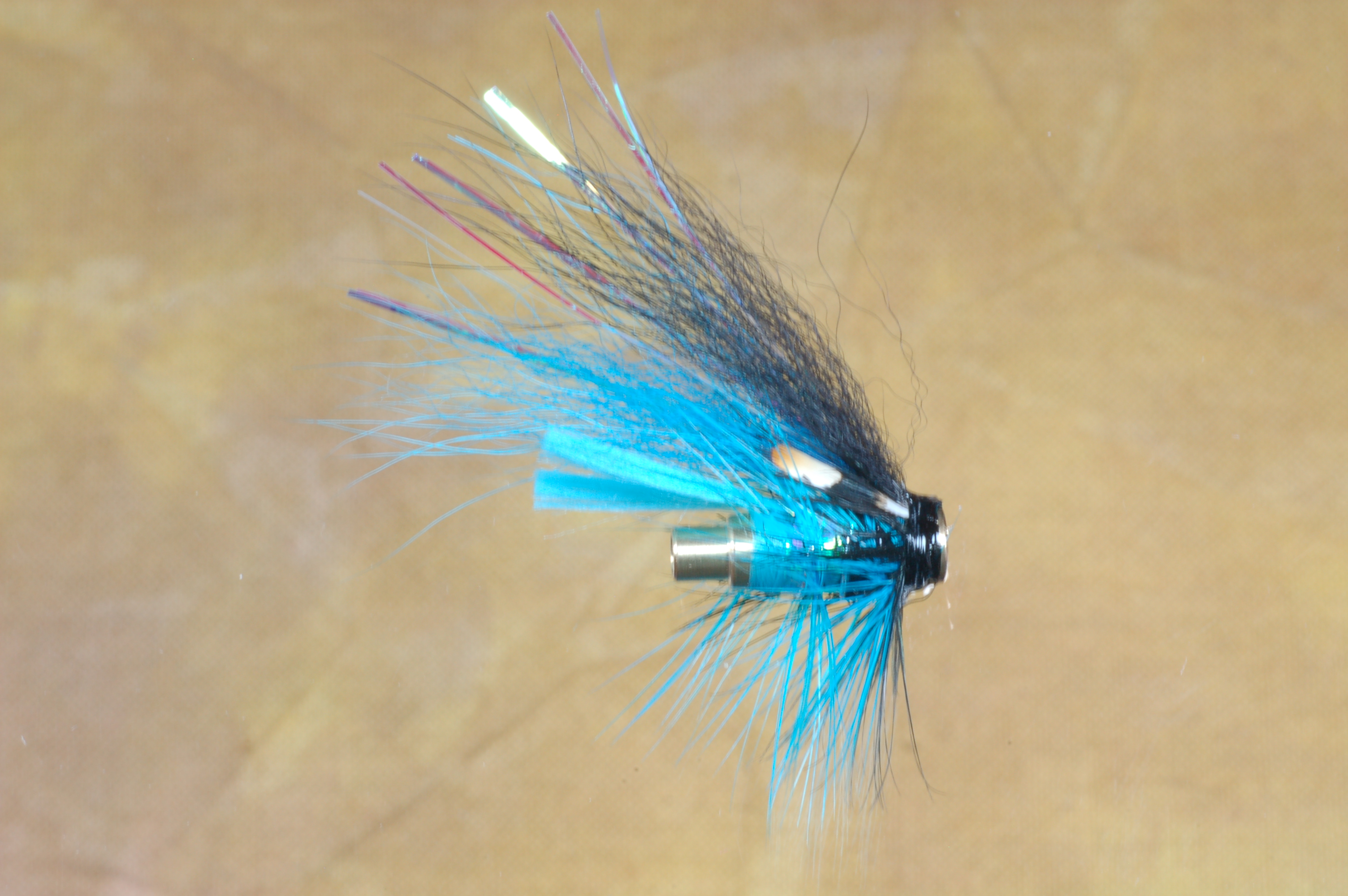 Blue and Black Templehund Bottle Tube