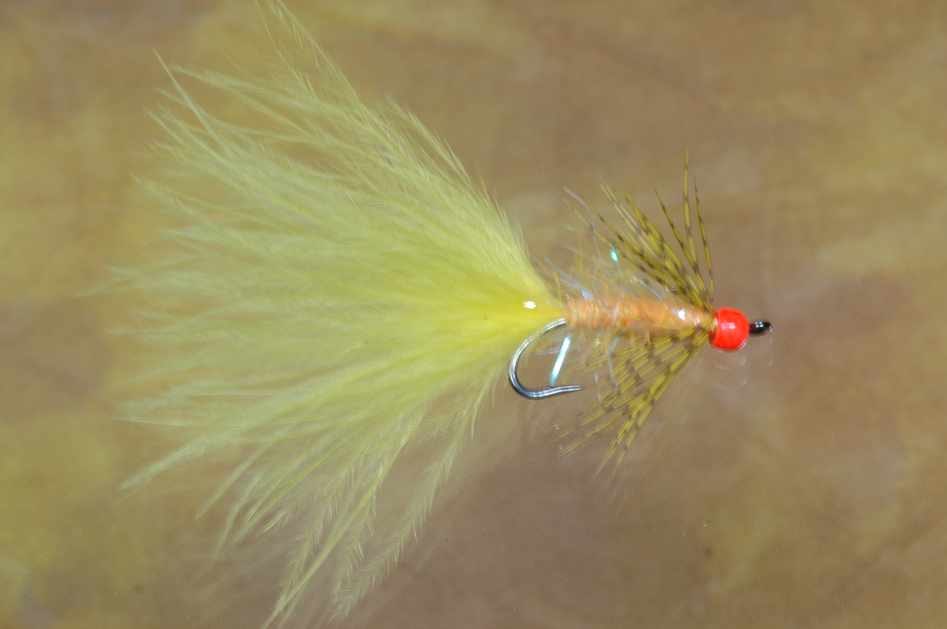 Orange and Yellow Darter