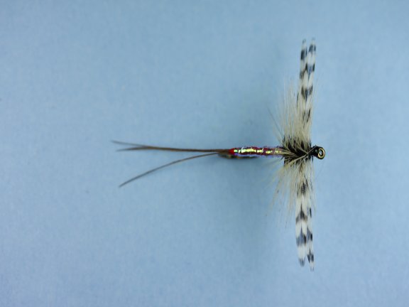 Mirage Spent Male Mayfly