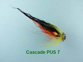 Cascade PUS 7