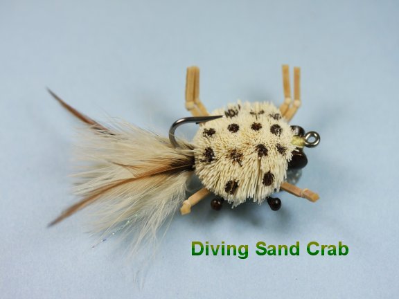Diving Sand Crab