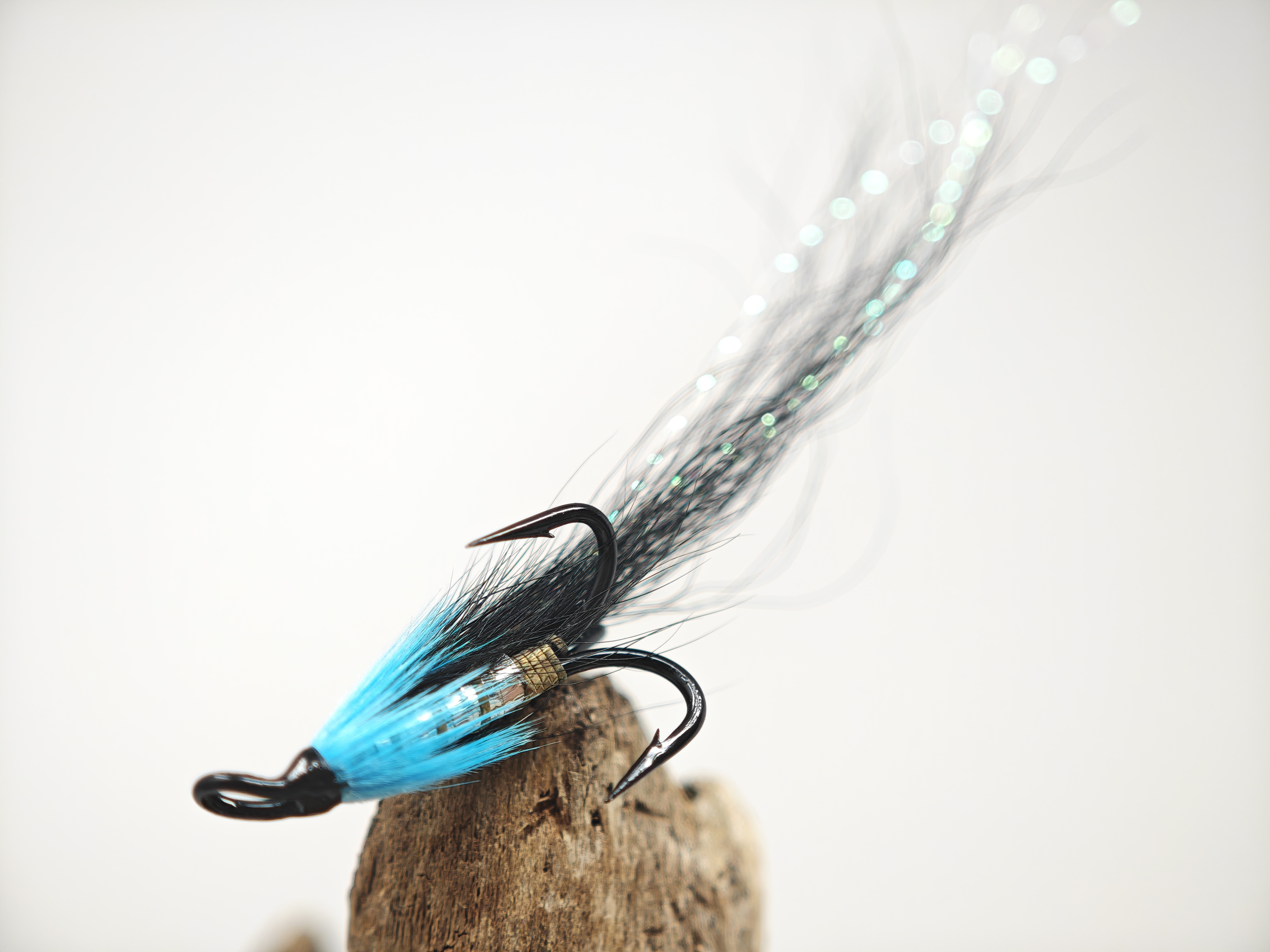 Blue and Black Longtail