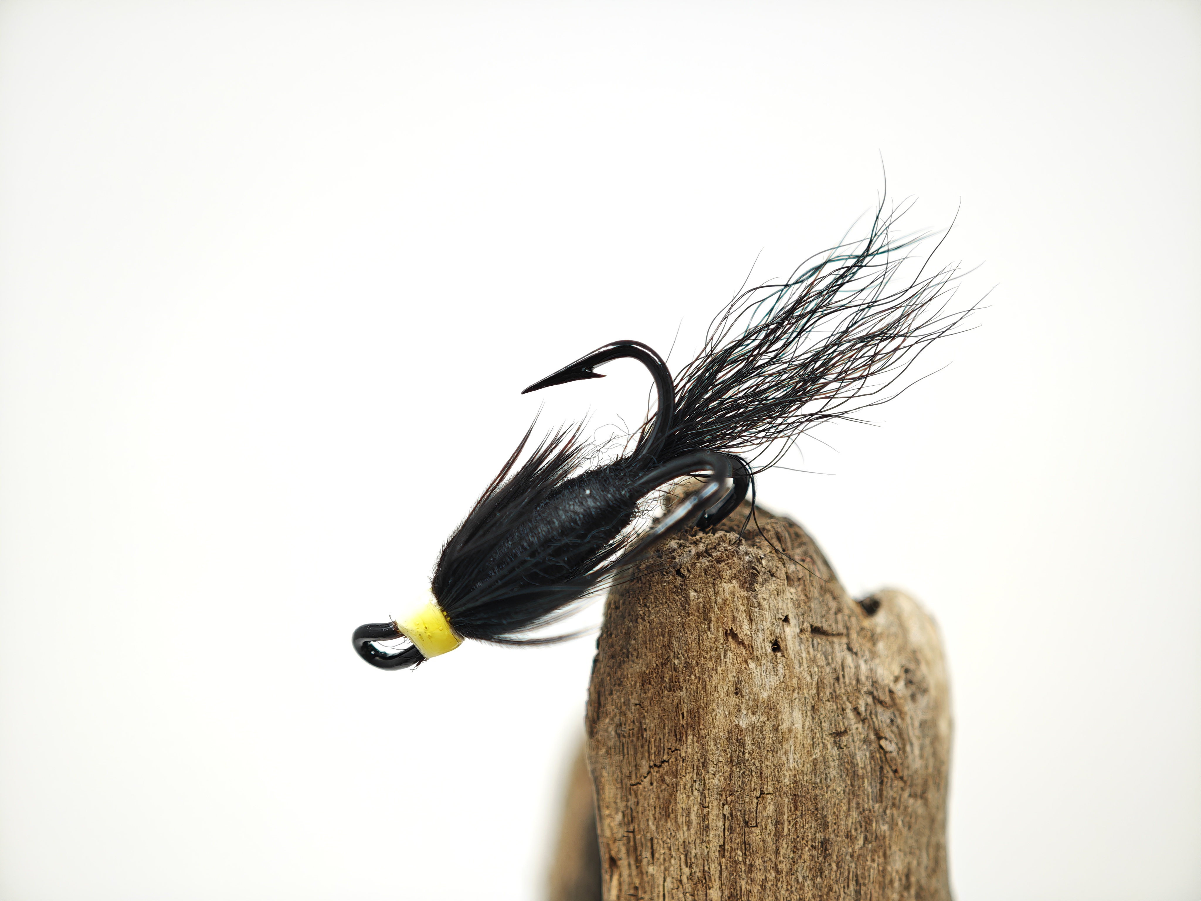 White-Head Black Labrador (Oate Diablo)