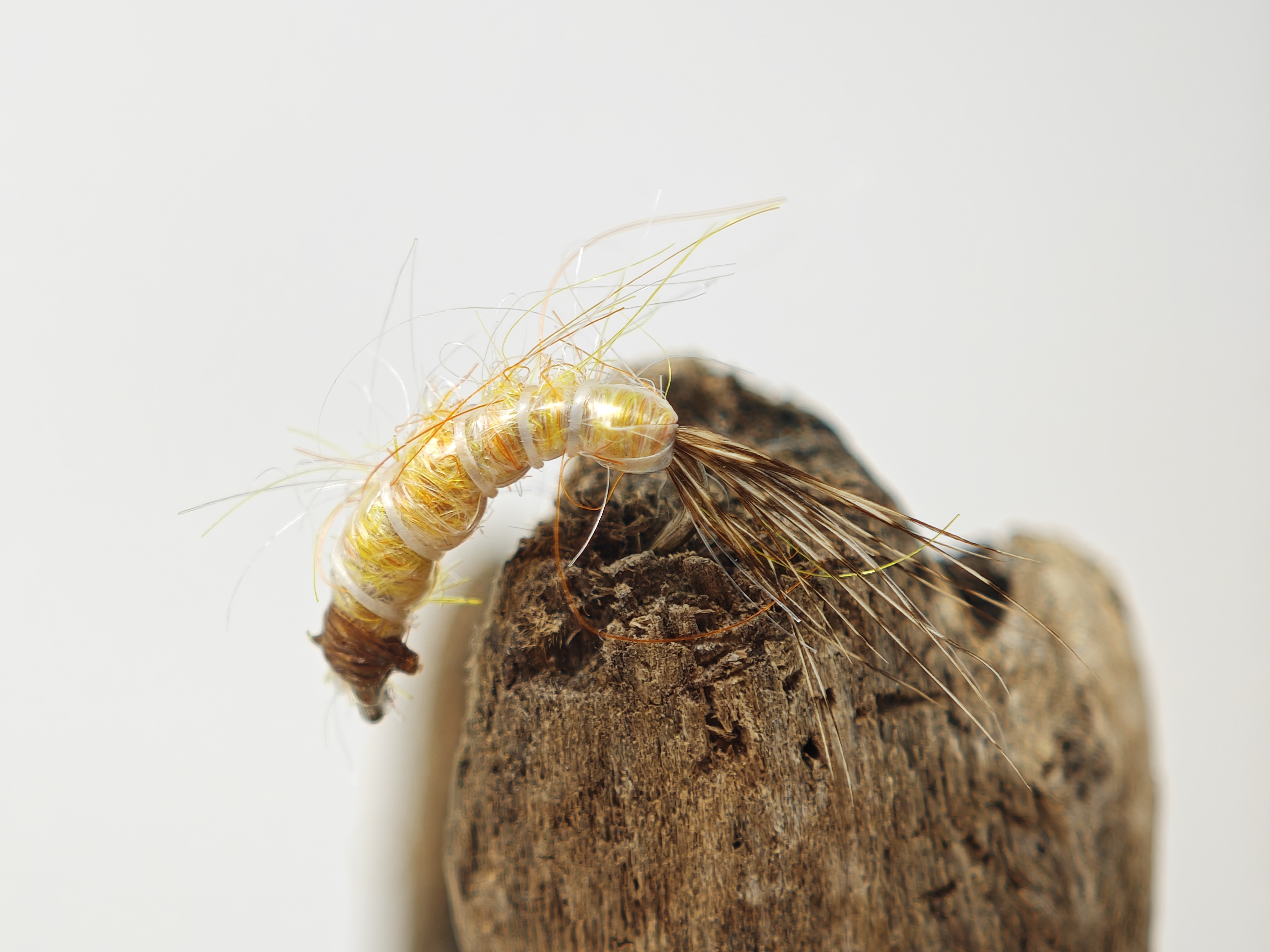 Romys Sand Shrimp
