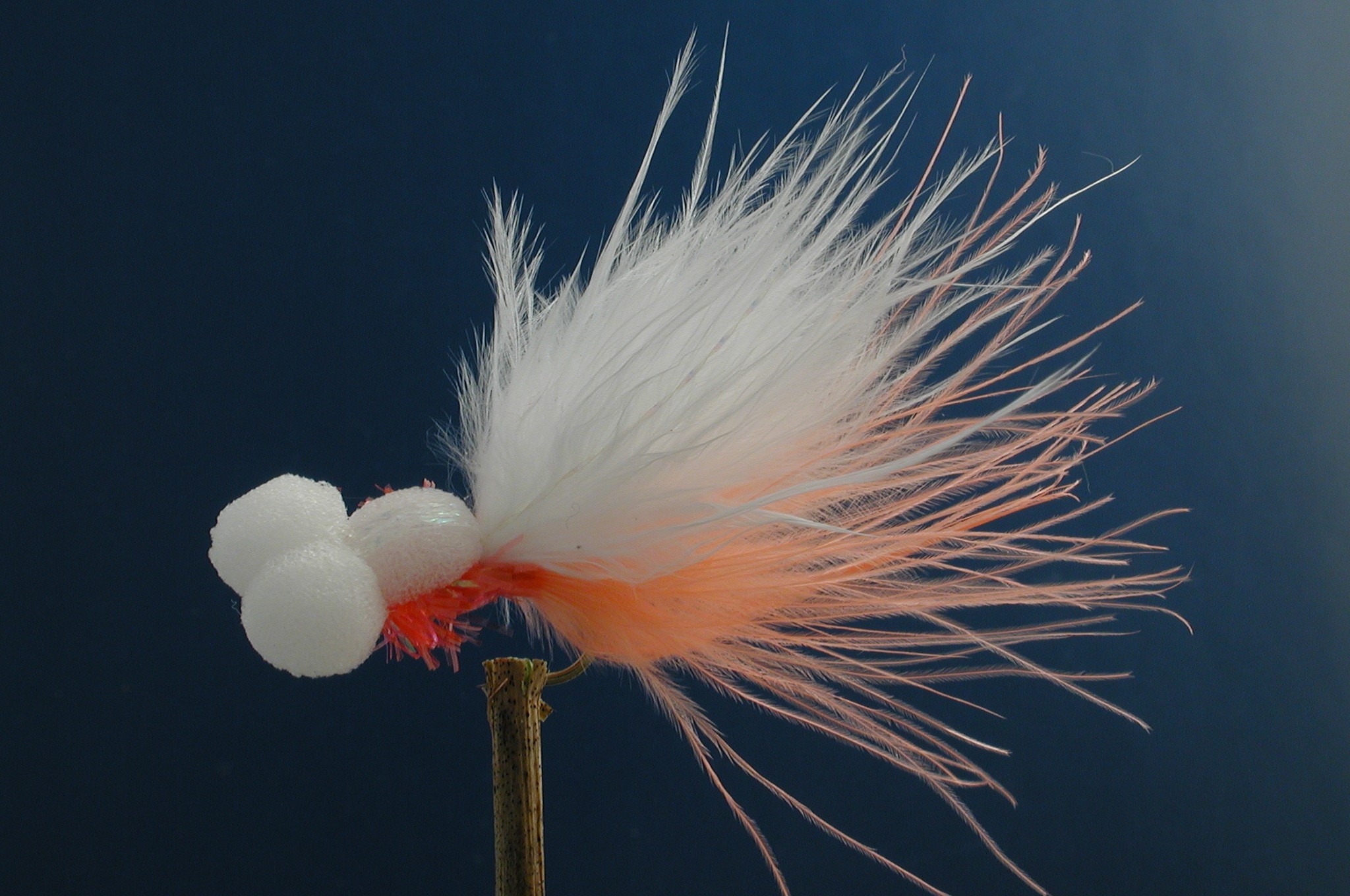 Shellback Booby Orange