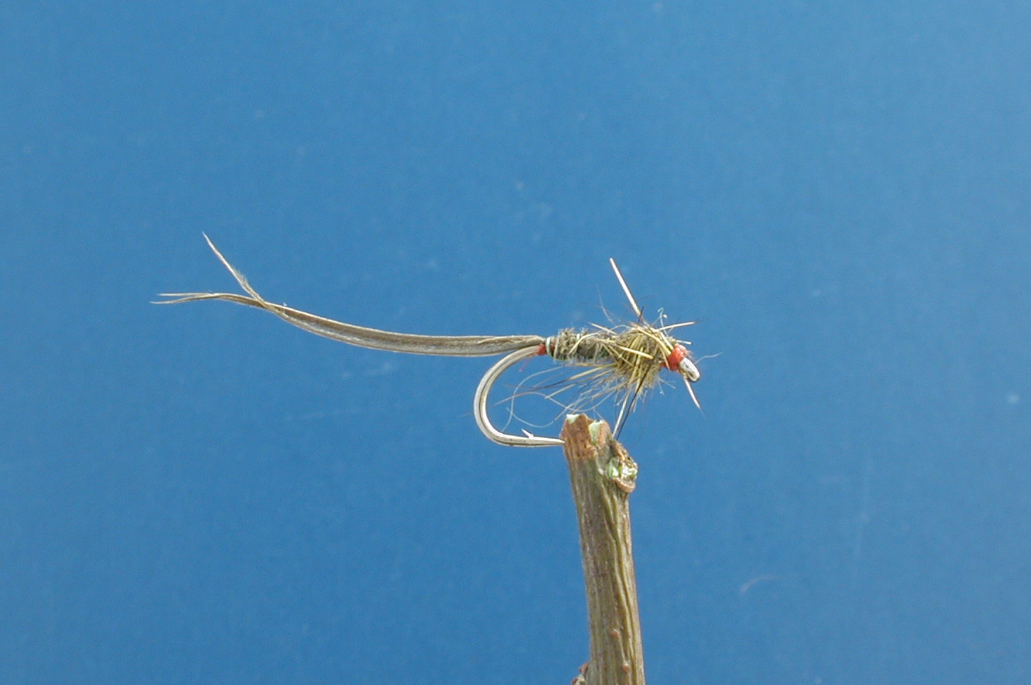 Little Green Dry Nymph