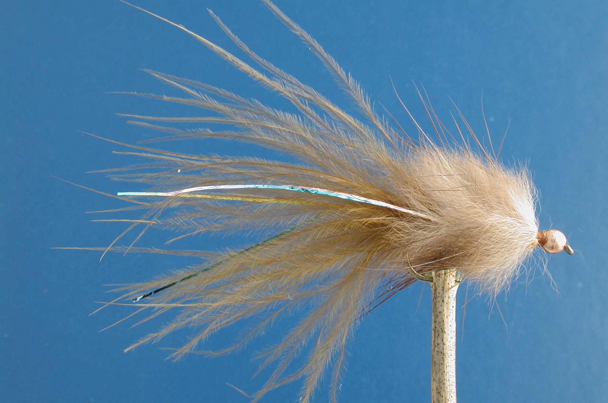 Stewarts Tan Millionaire Taddy GH