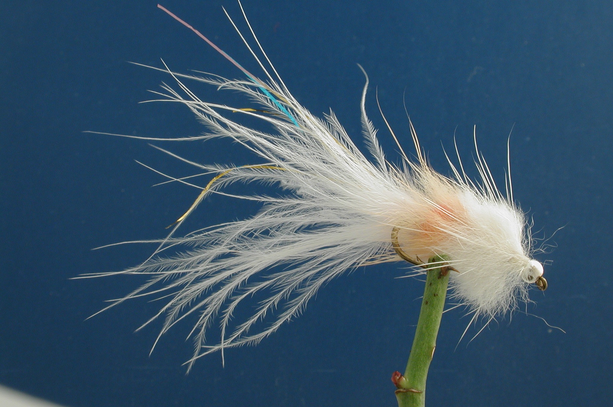 Stewarts Fry Millionaire Taddy BD