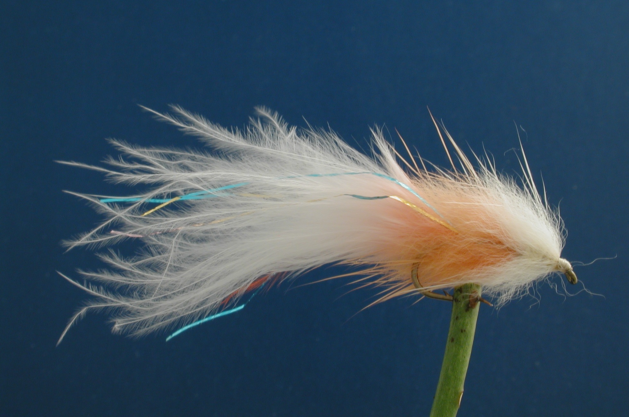 Stewarts Fry Millionaire Taddy