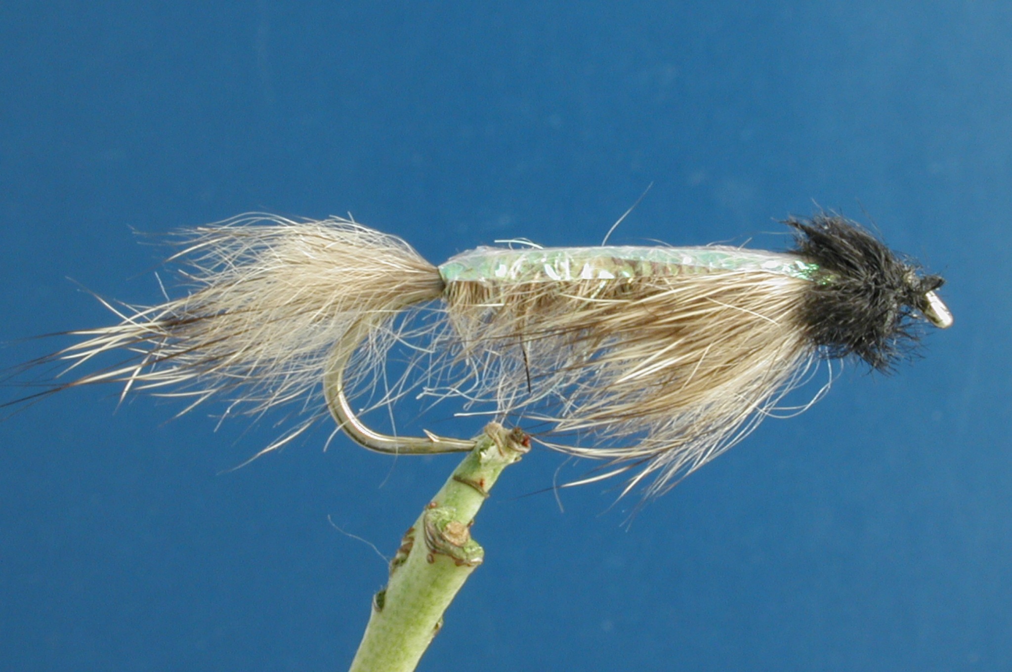 Dassie Flashback Nymph