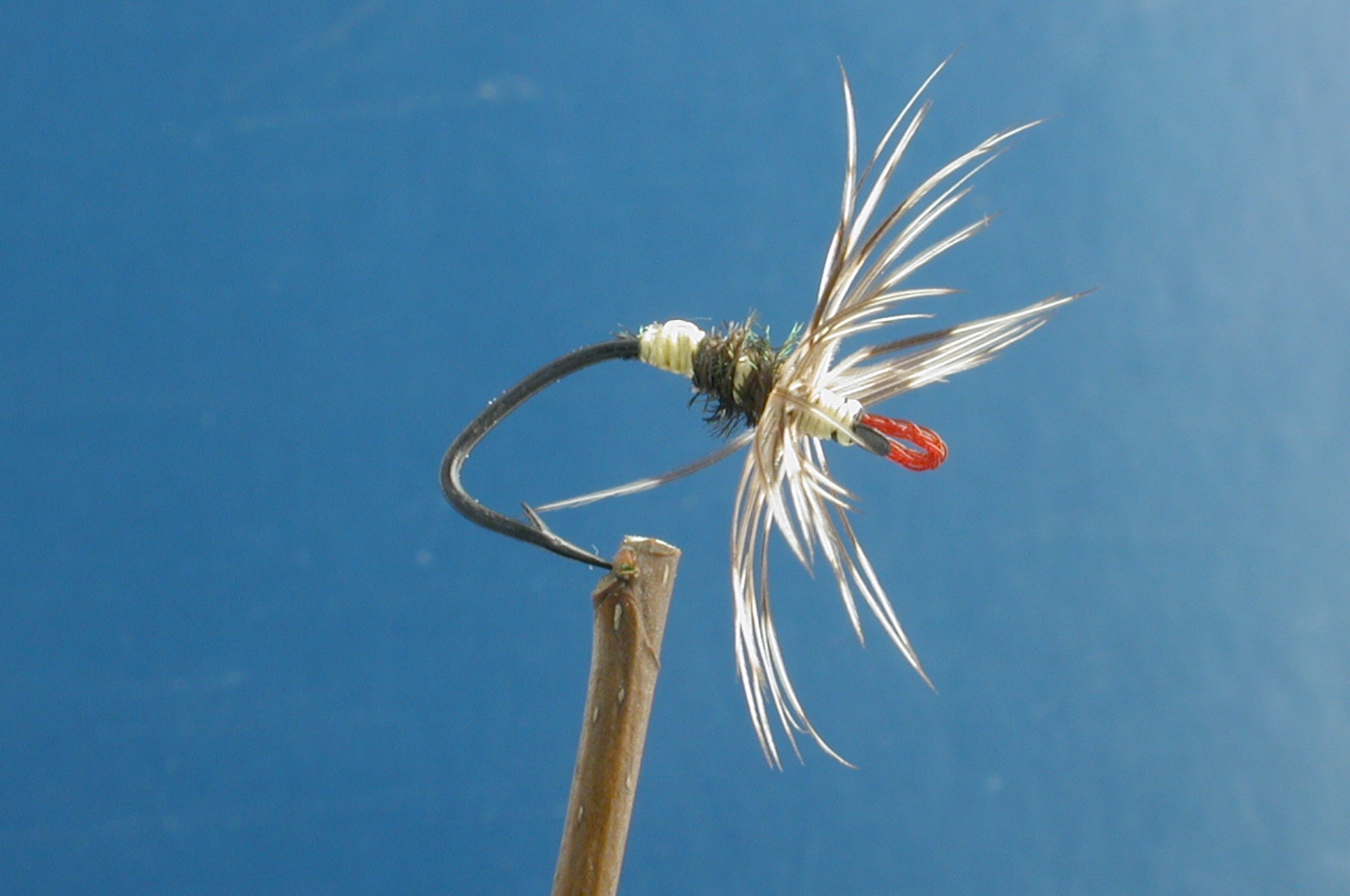 Takayama Sakasa-Kebari 1