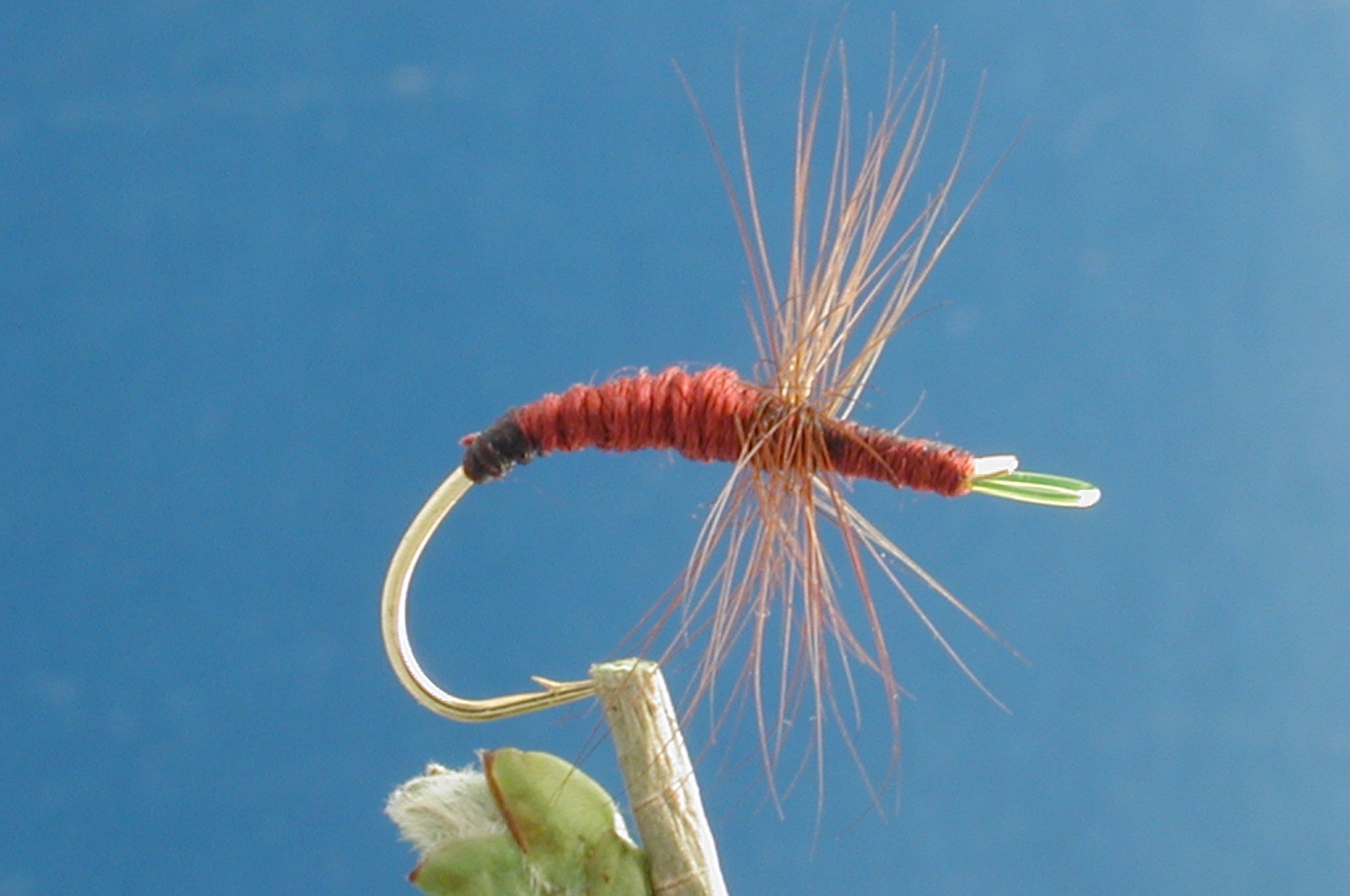 Gujo Sakasa-Kebari 3