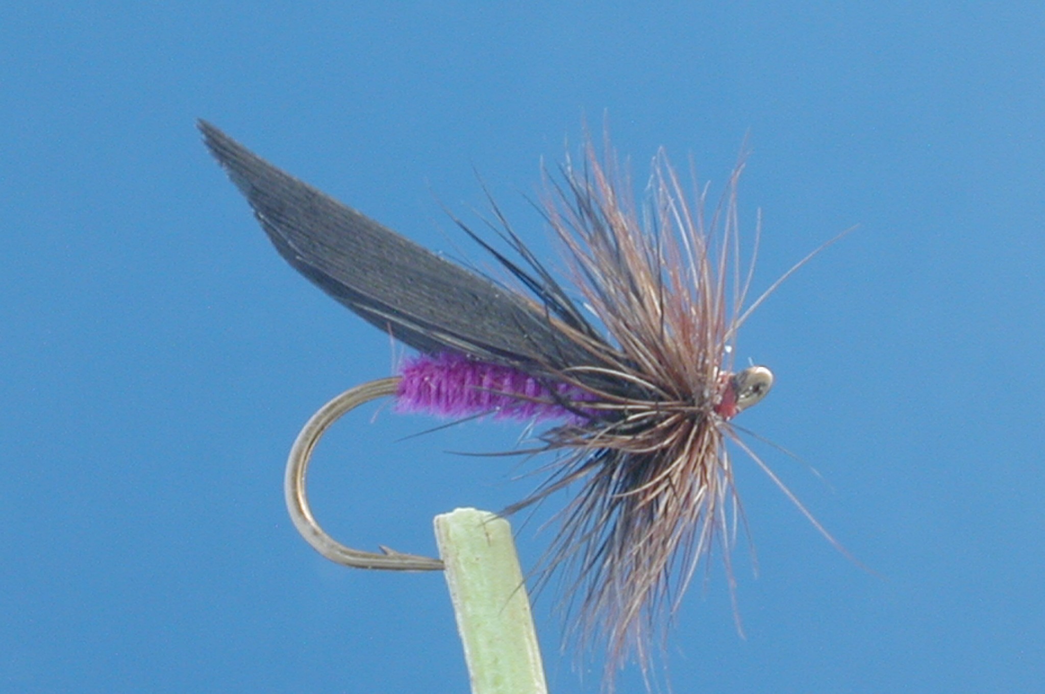 Gilbeys Lilttle Dark Sedge