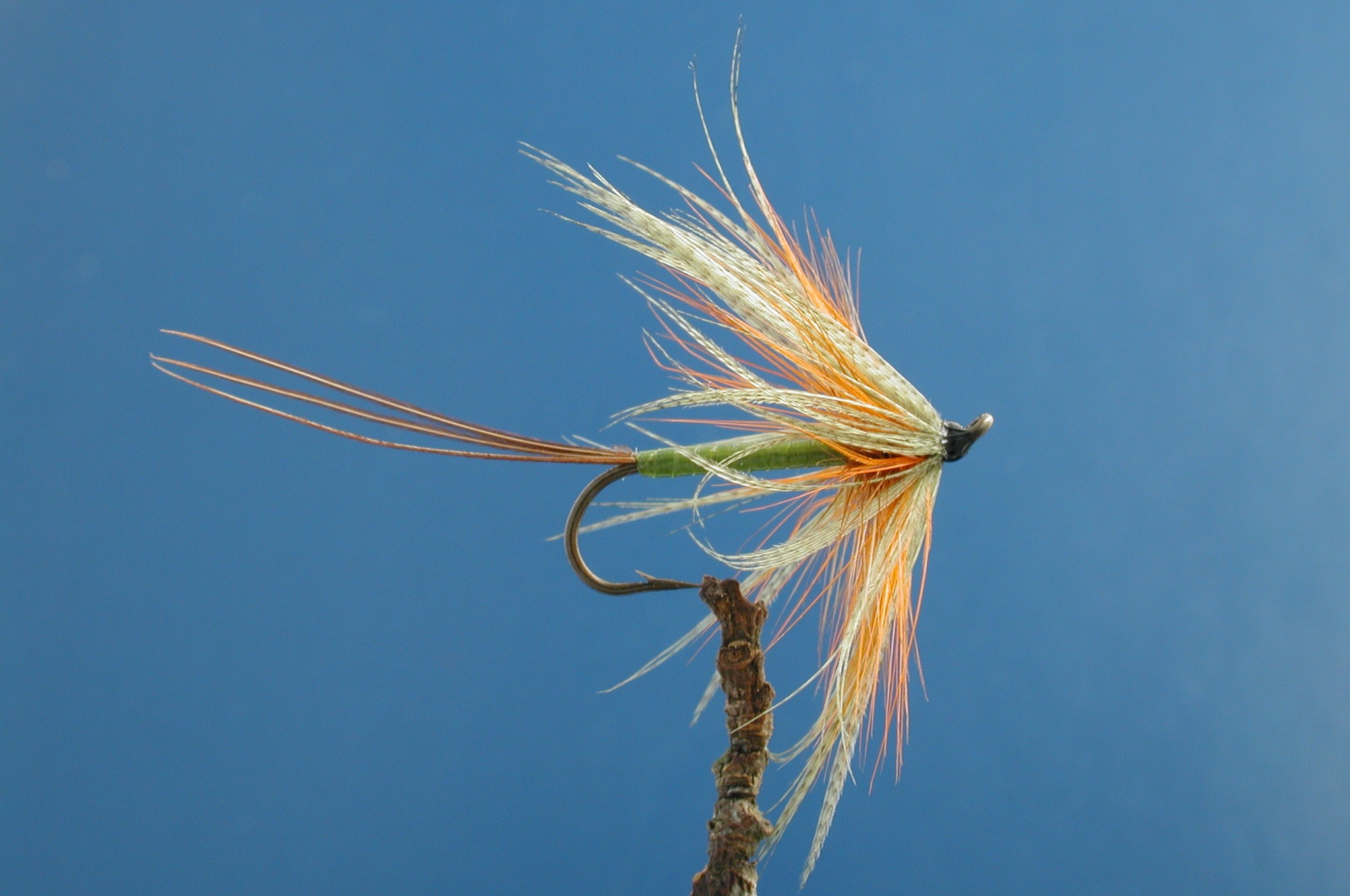 Gouldens Favourite Mayfly