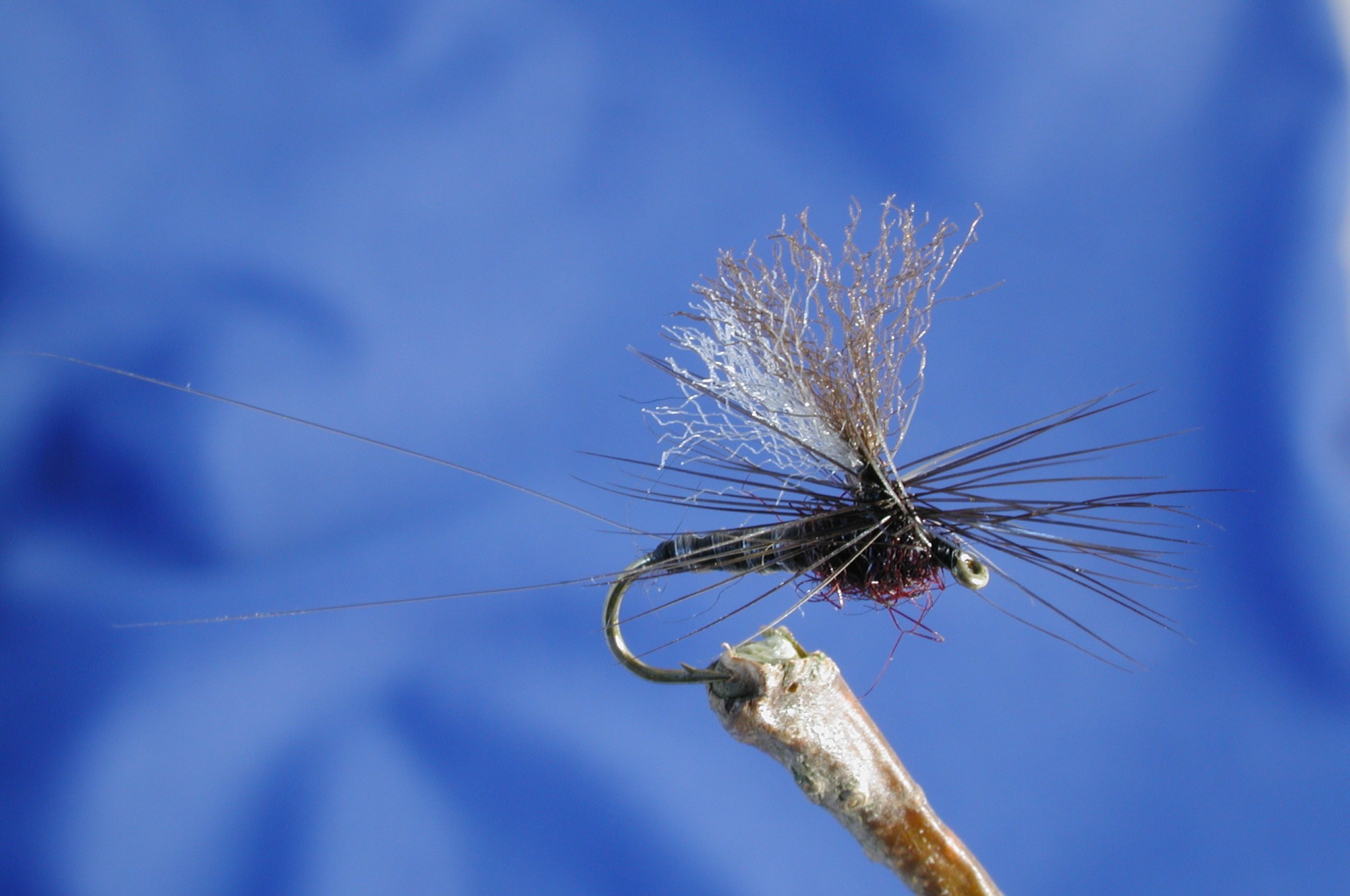 Parachute Black Spinner