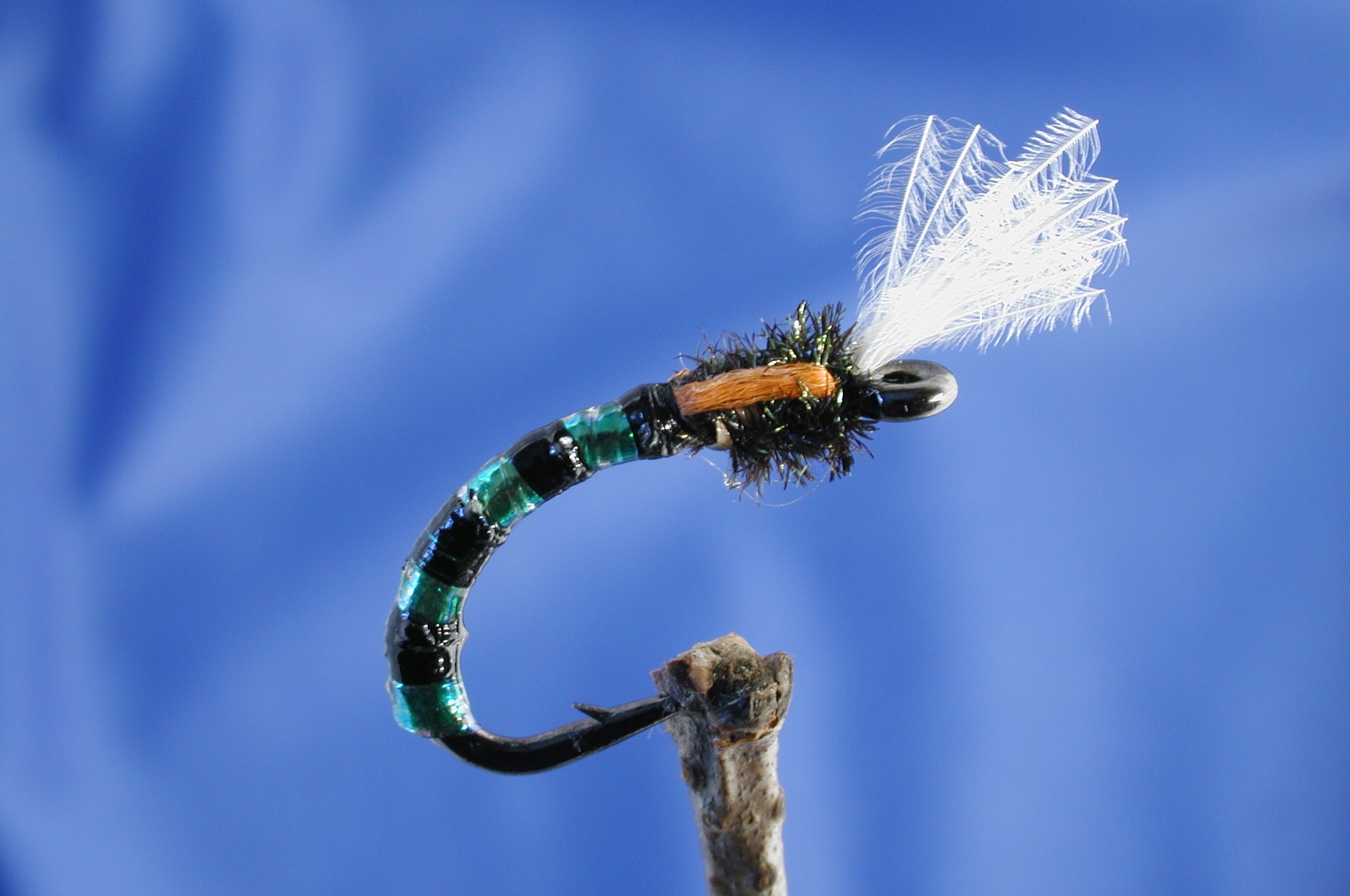 Morgans Green Buzzer