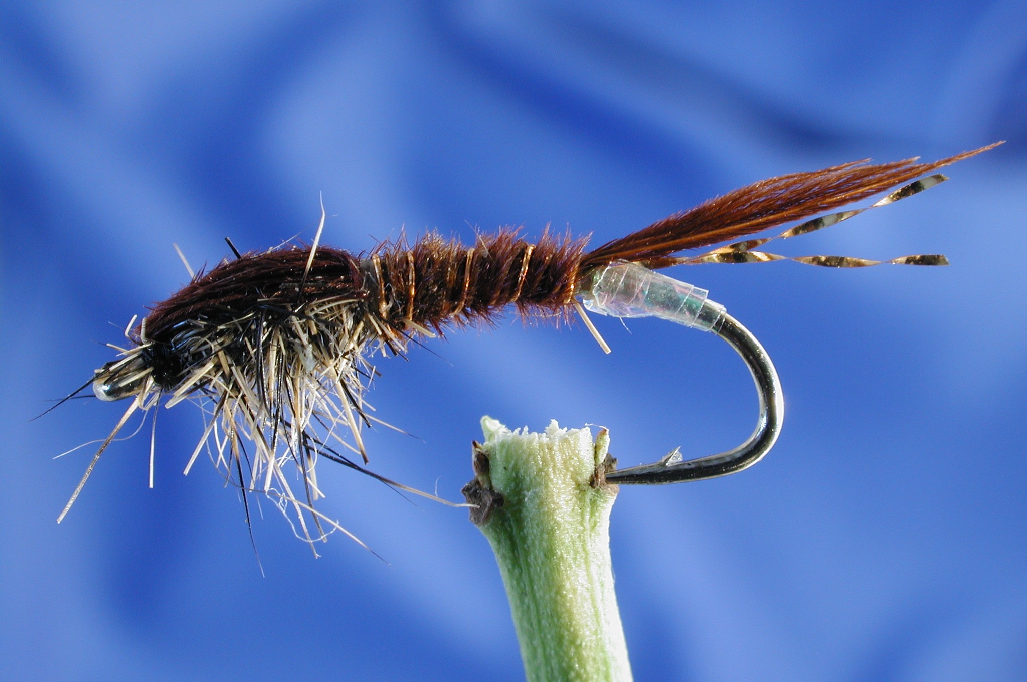 Morgans Pheasant Tail