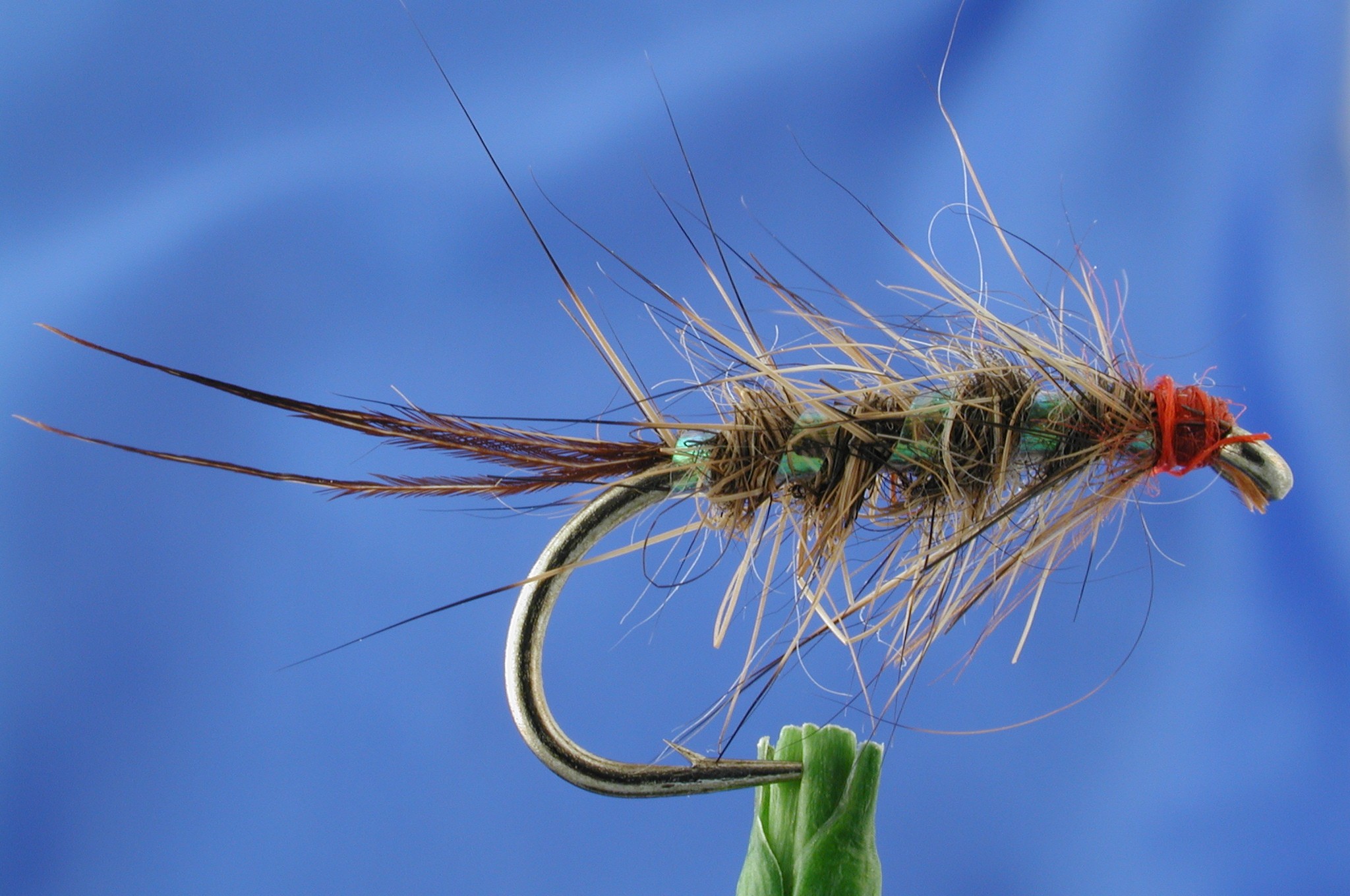 Pearl Ribbed Hares Ear