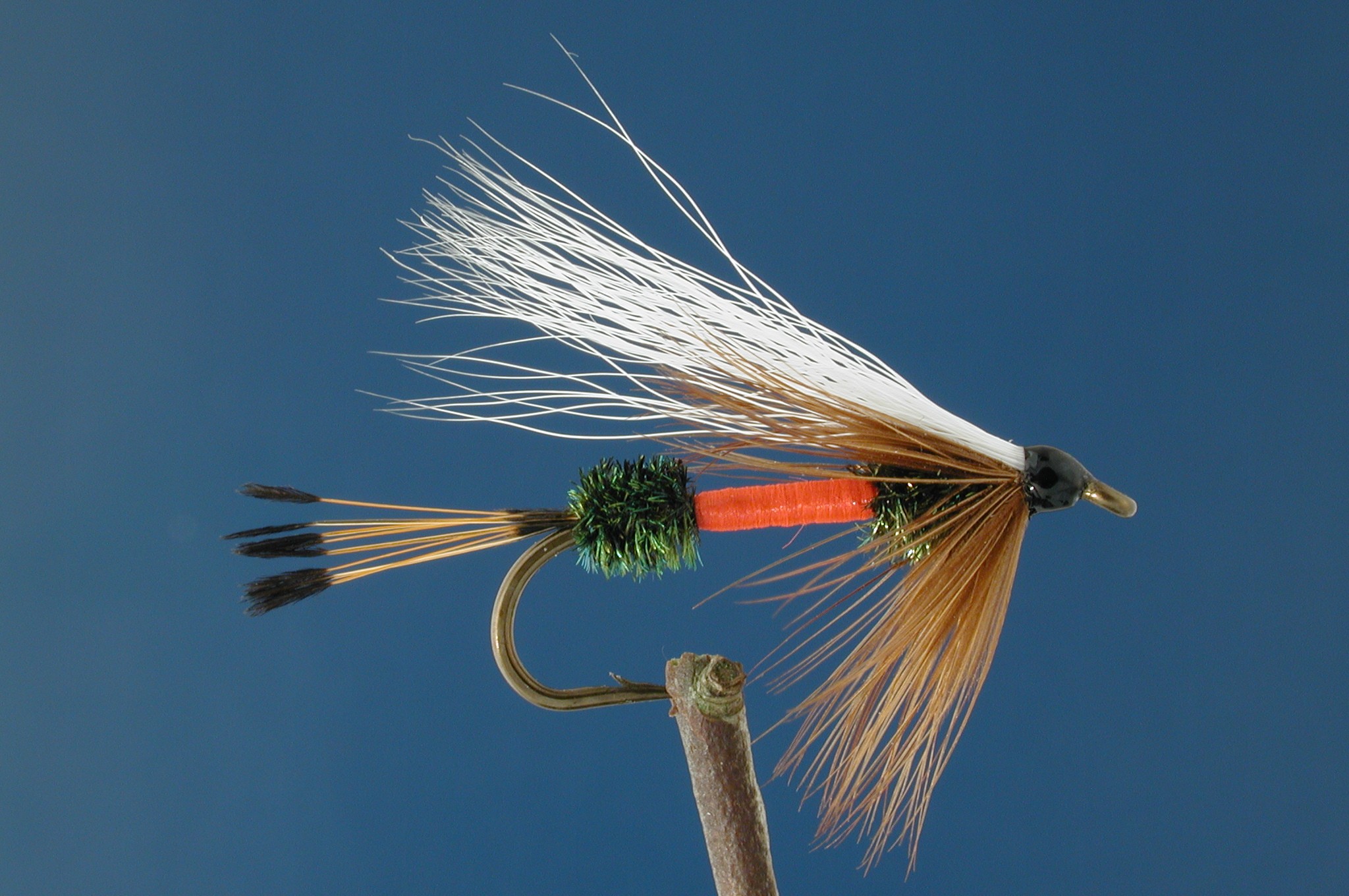 Royal Coachman Bucktail