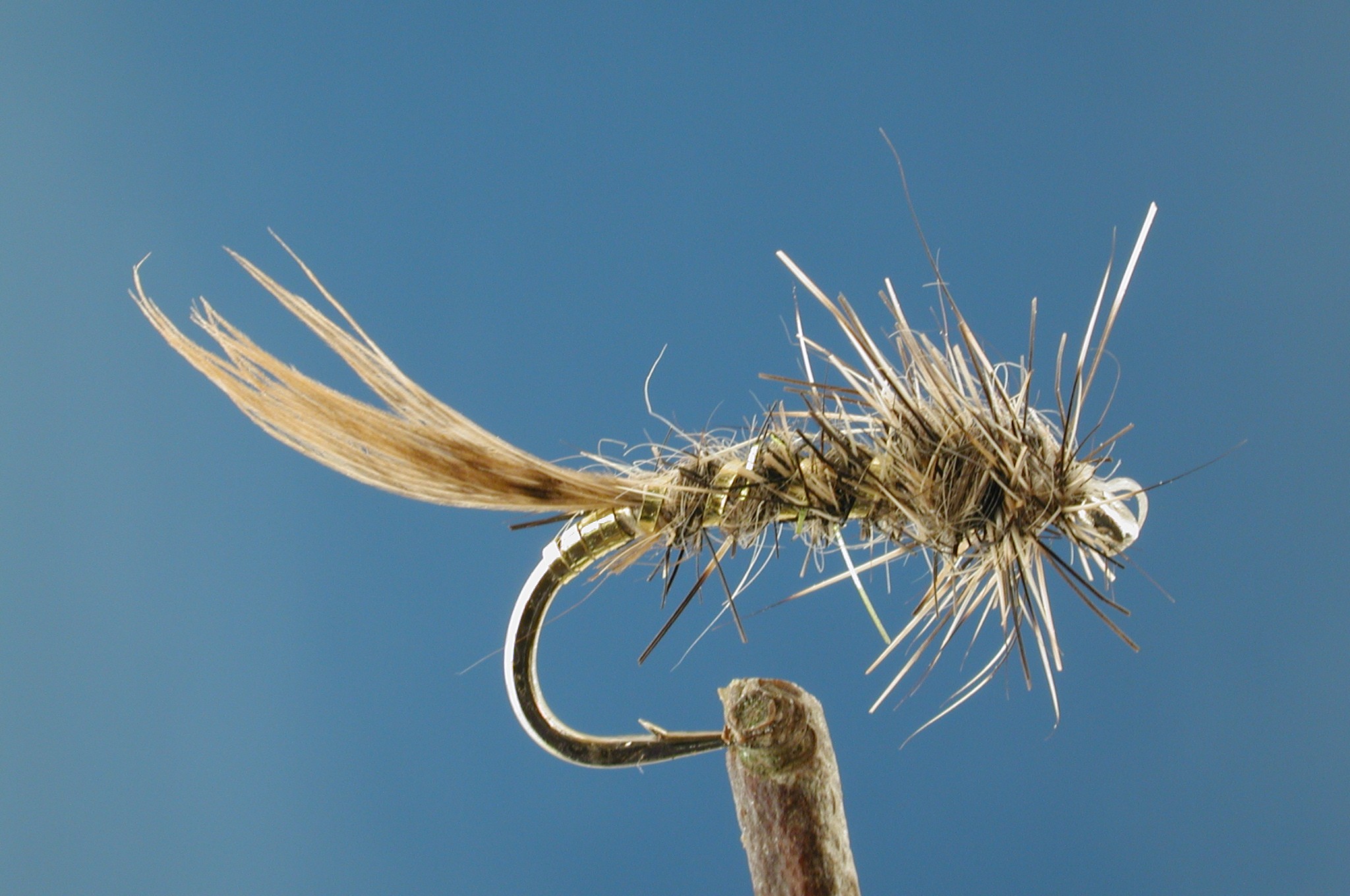 Morgans Brown Hares Ear