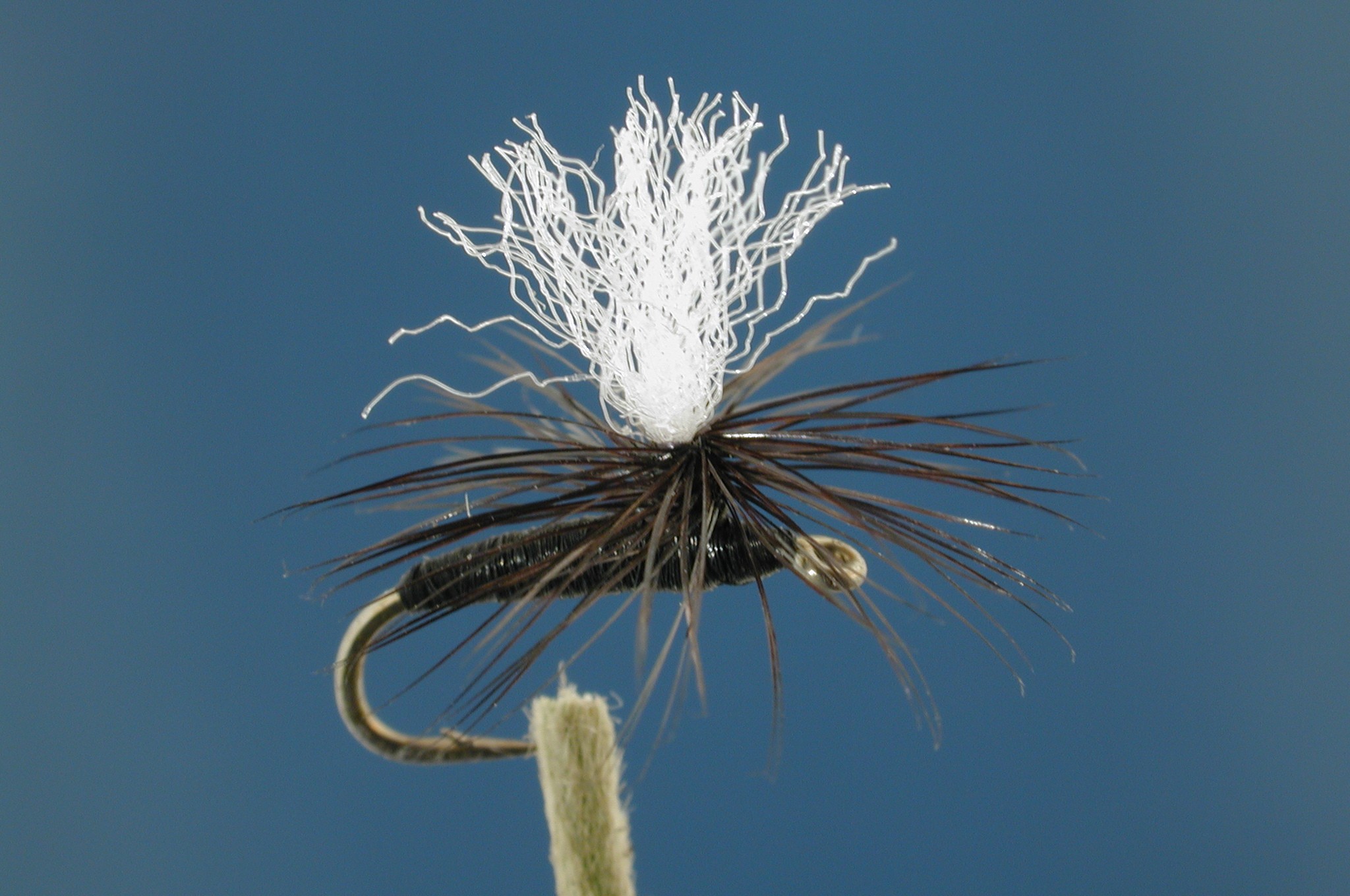 Parachute Black Gnat