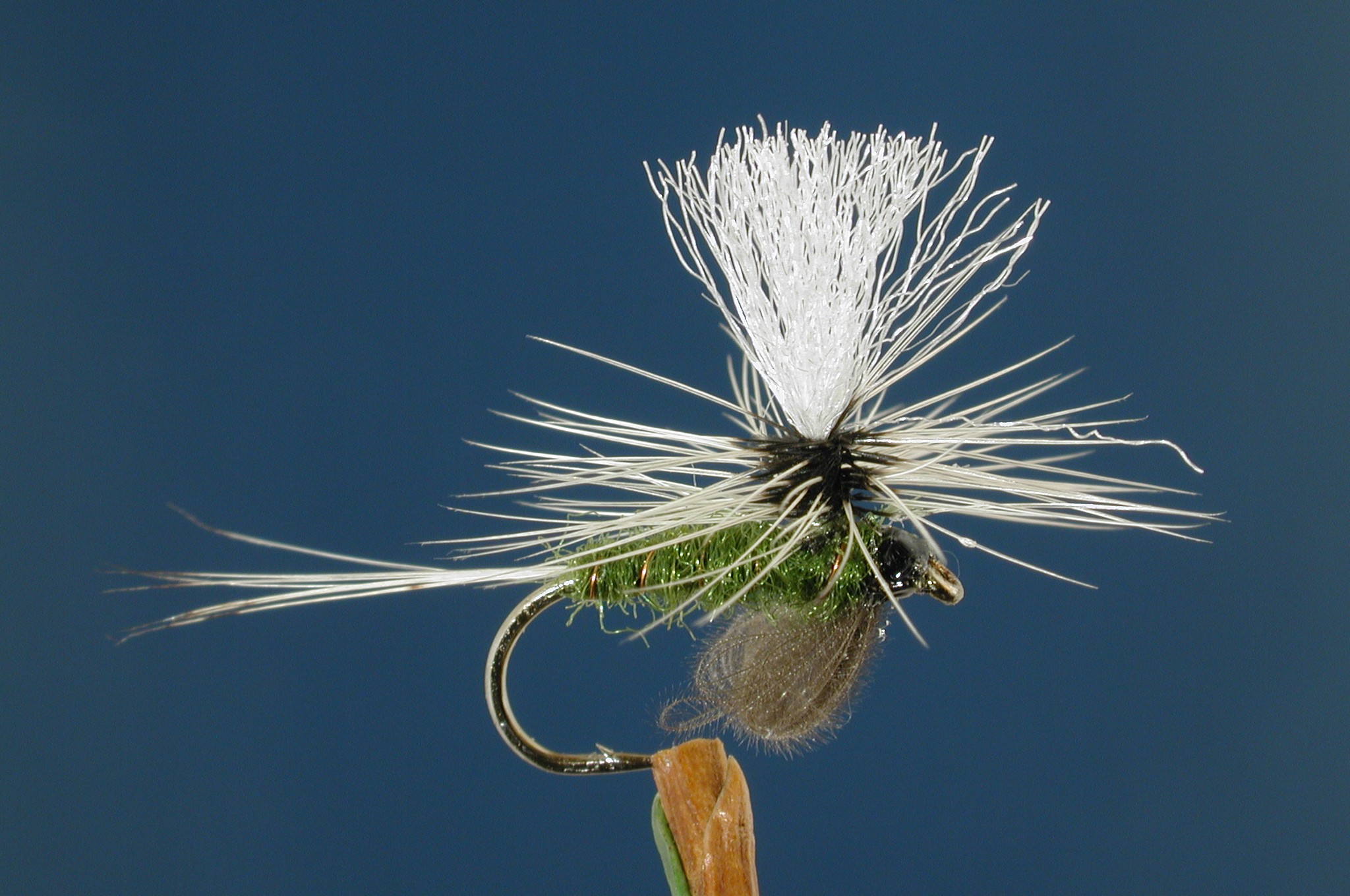 Olive Badger Para Emerger