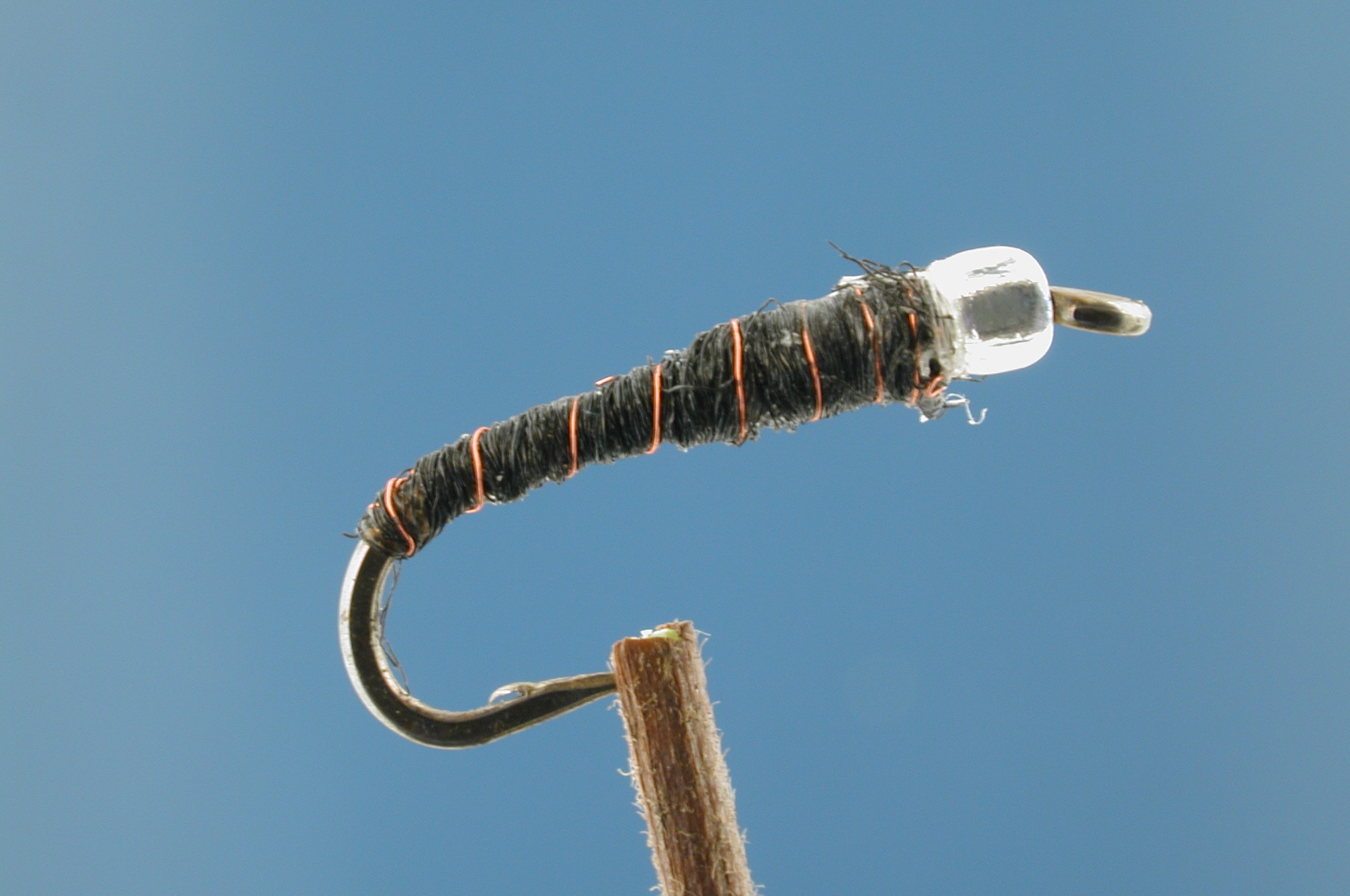 Dons Beaded Chironomid