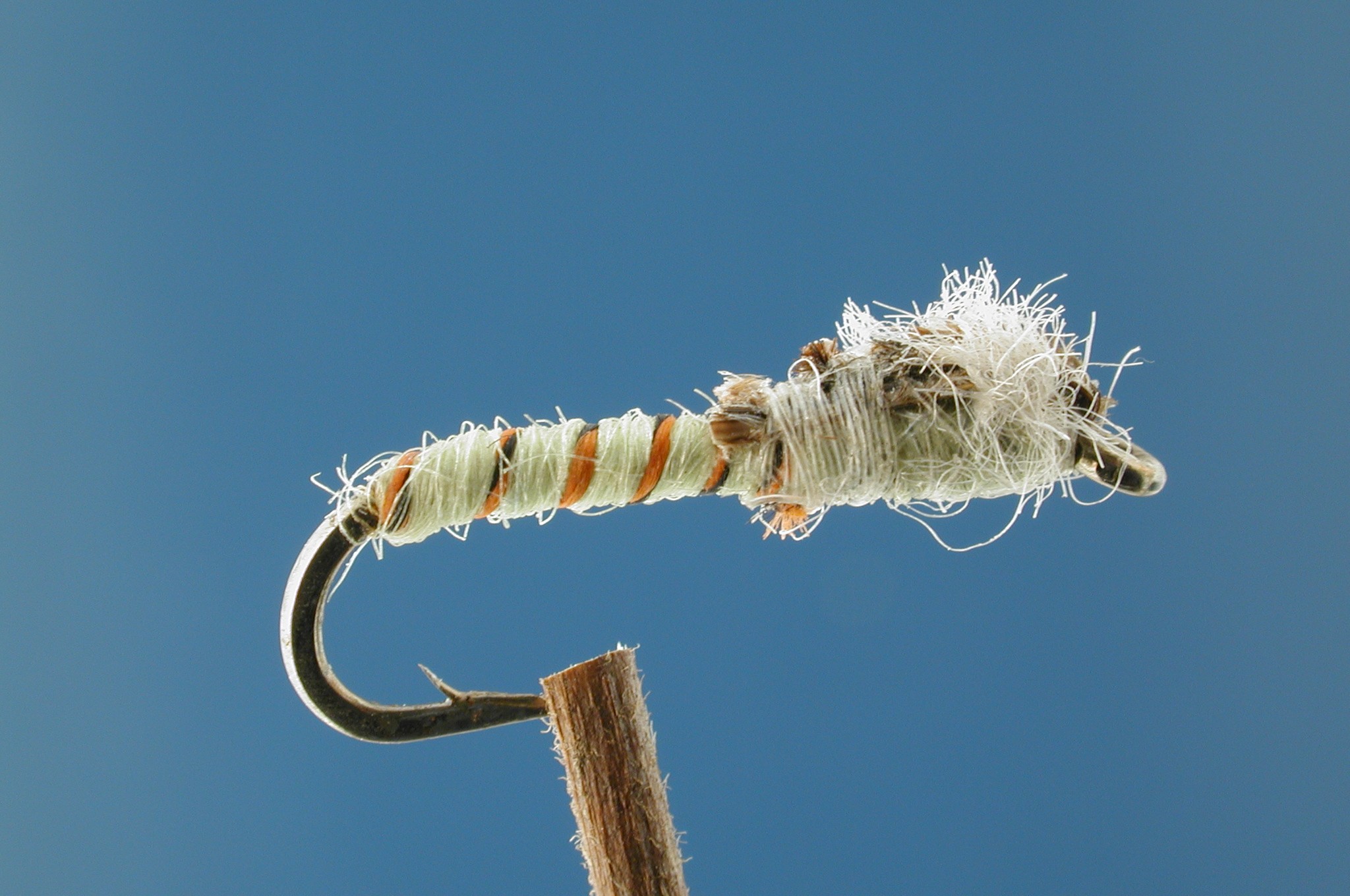 Light Green Chironomid