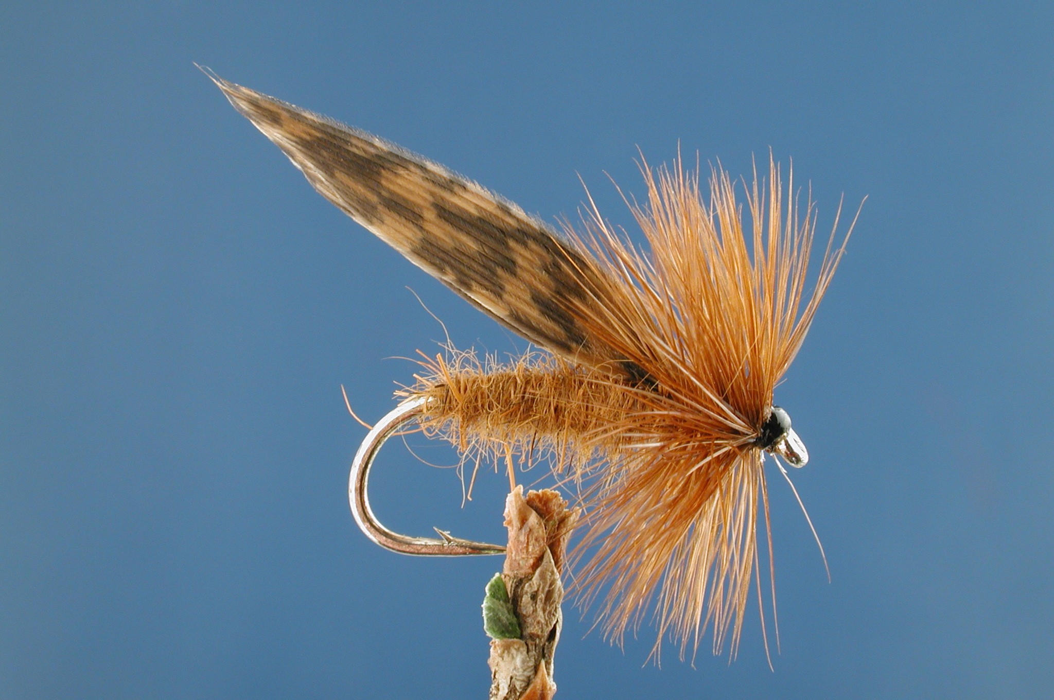 King River Caddis Dark