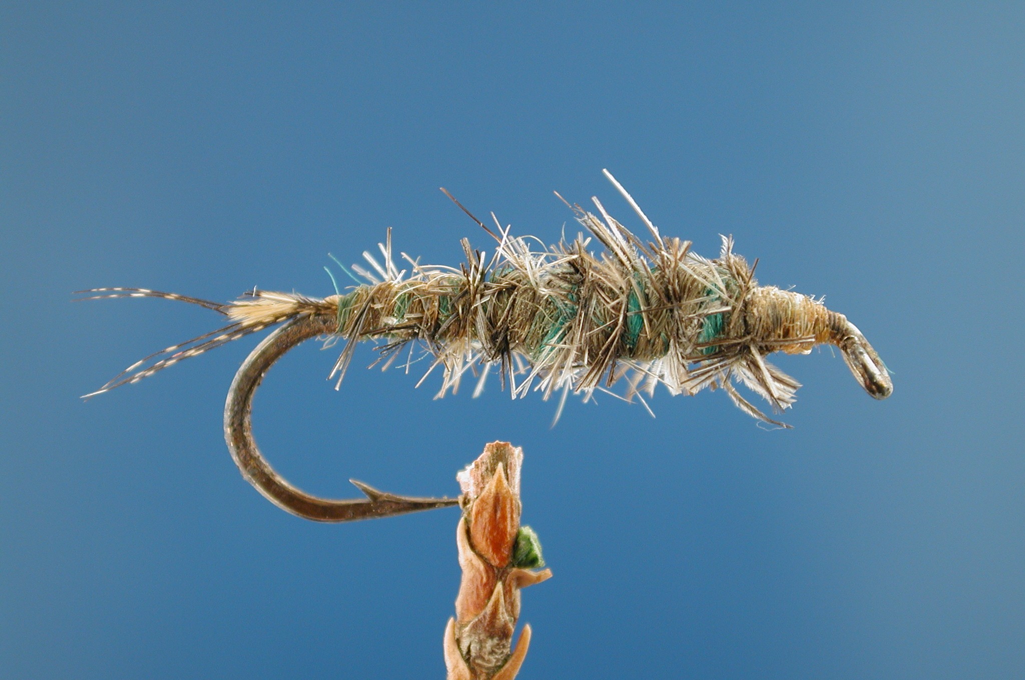 Howard Lake Chironomid