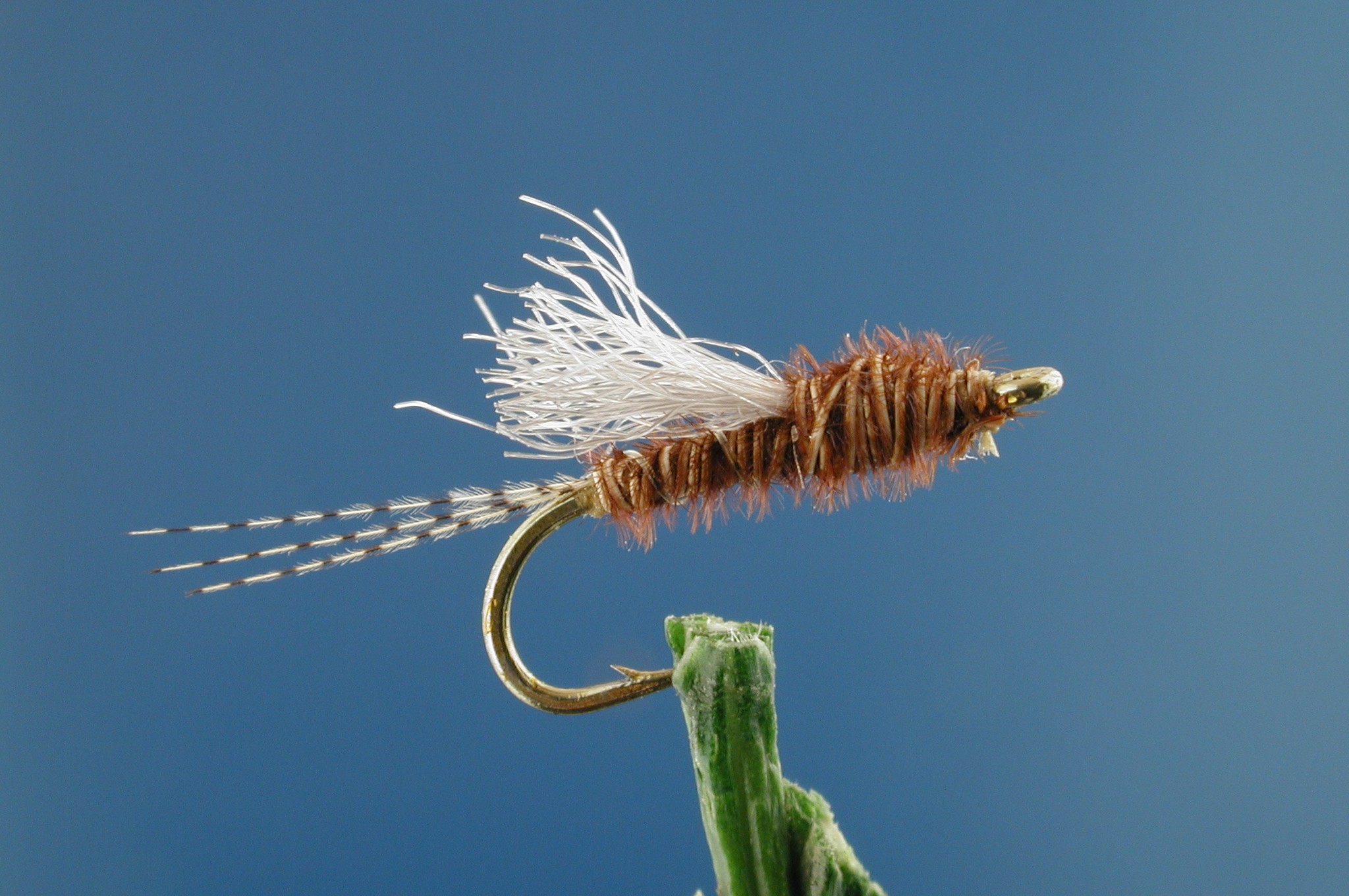 Pale Morning Dun Nymph