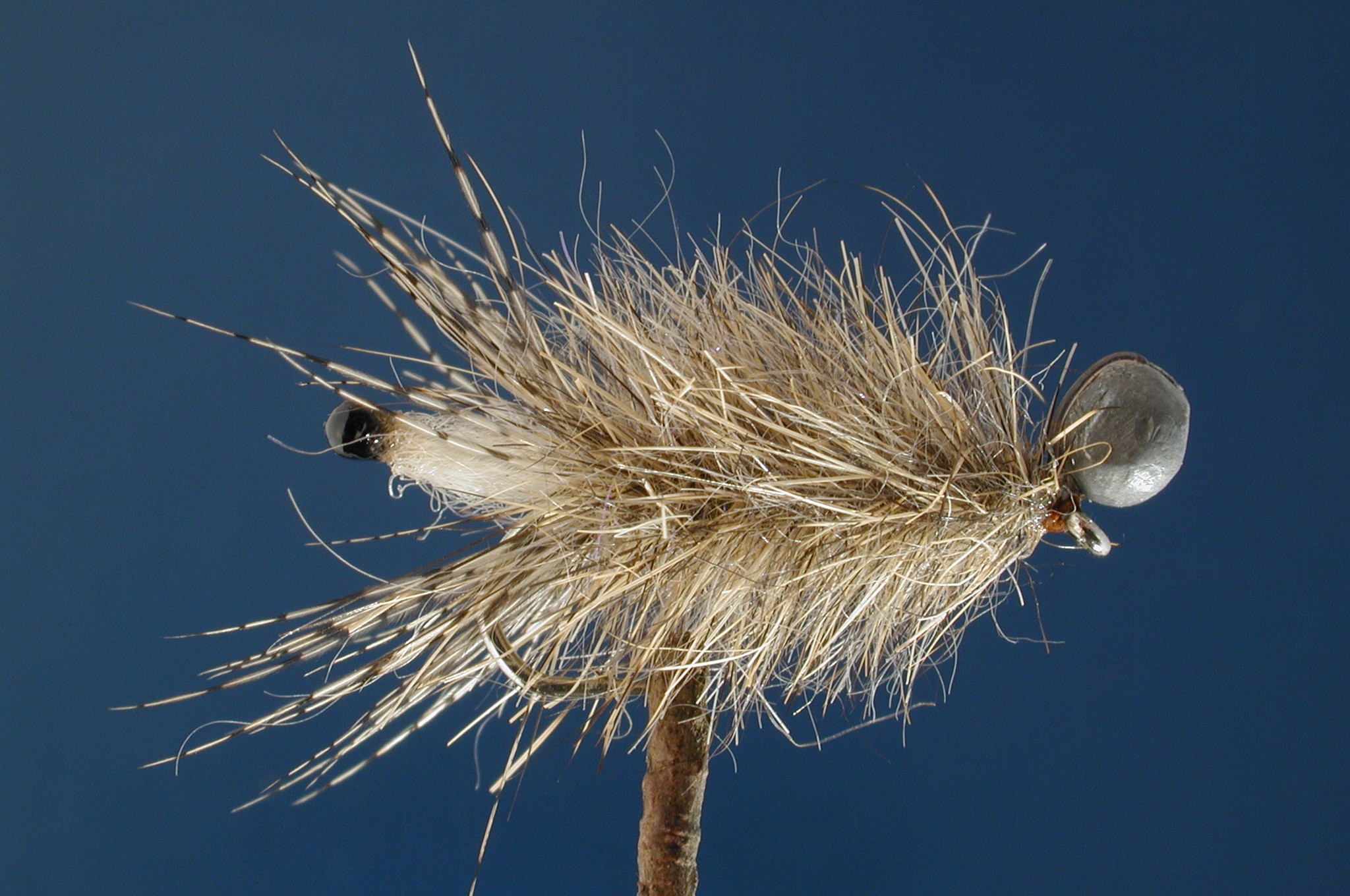 Sparkle Peeping Caddis