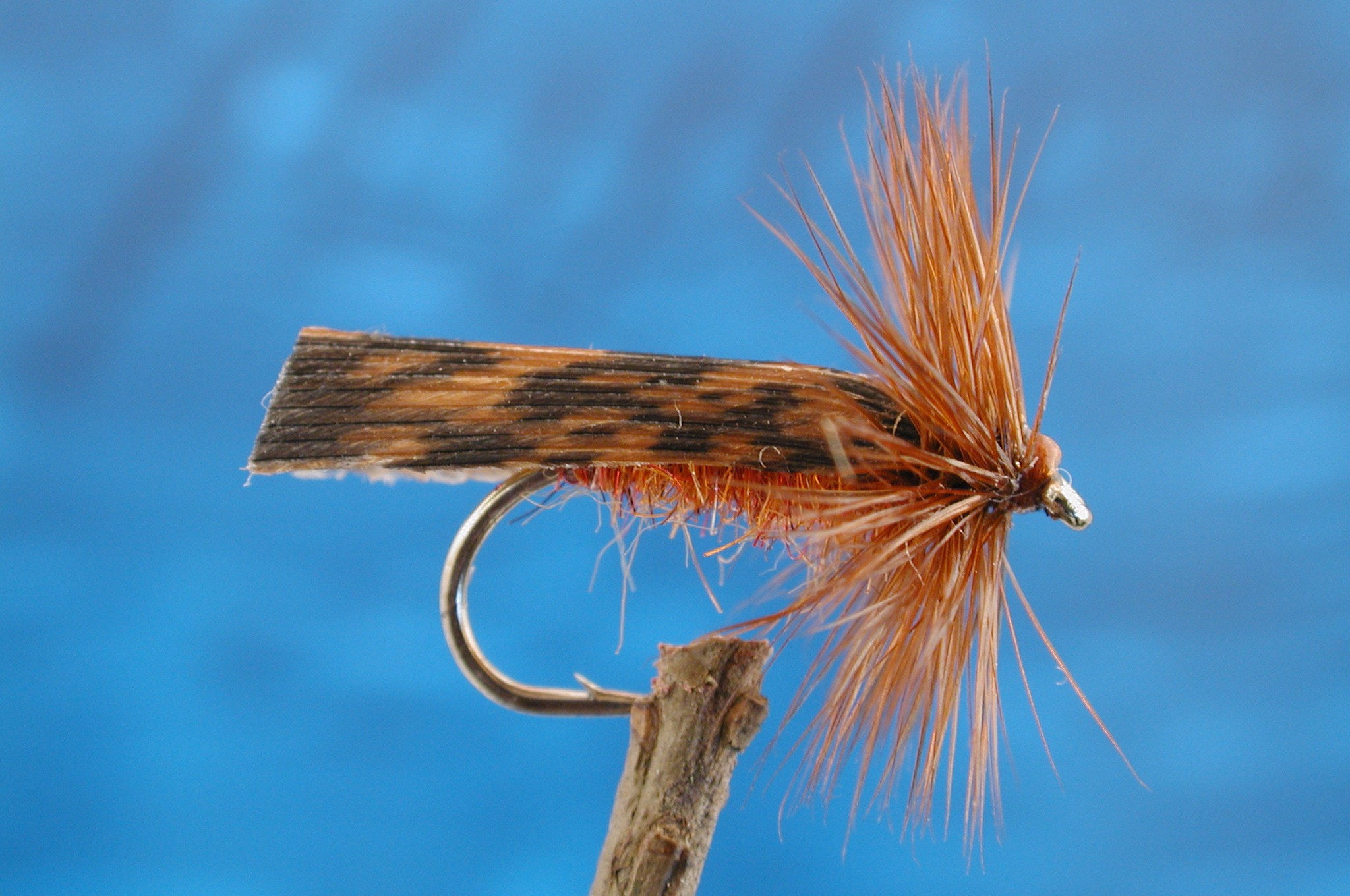 Small Brown Sedge