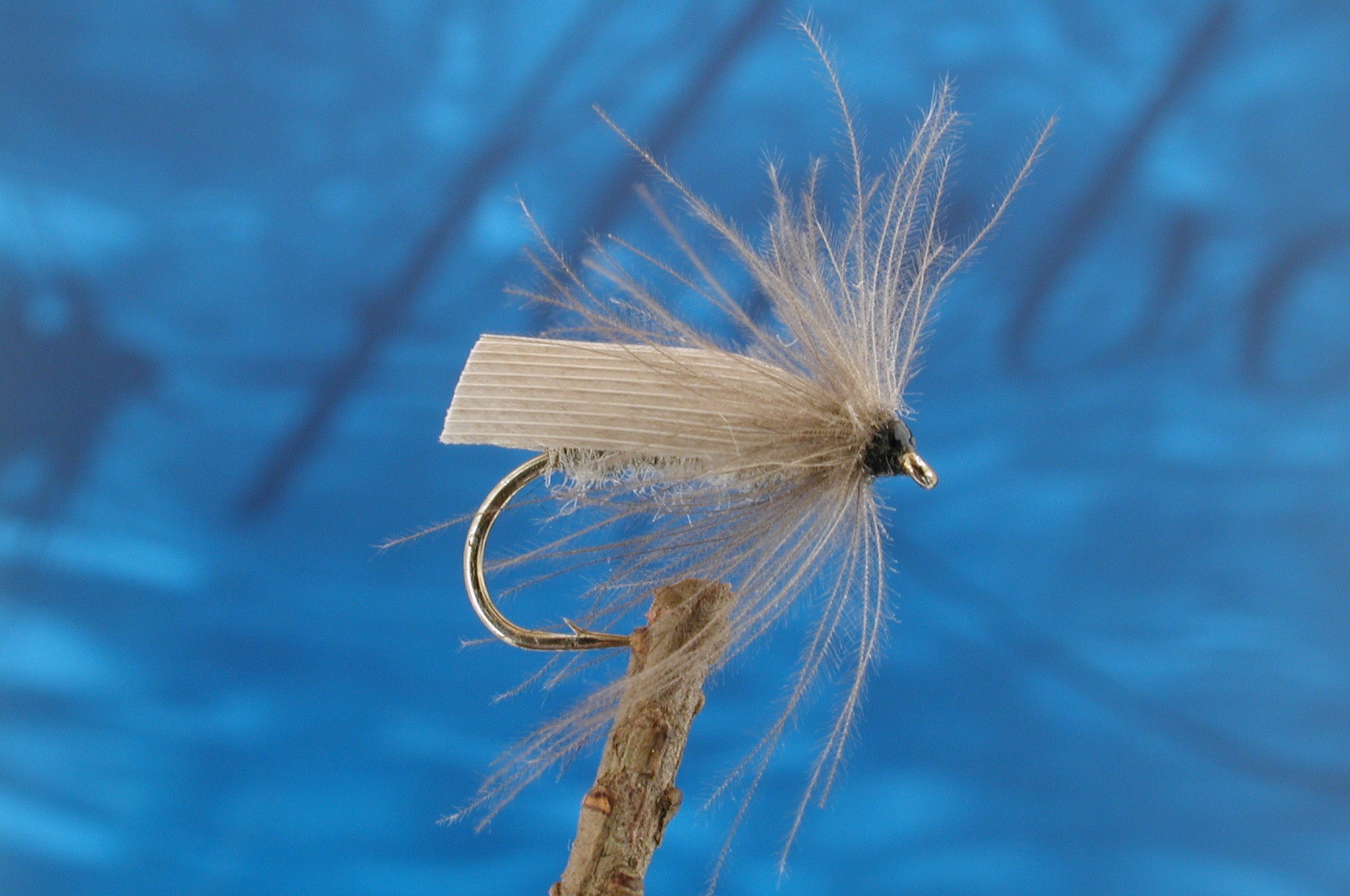 Small Grey Sedge